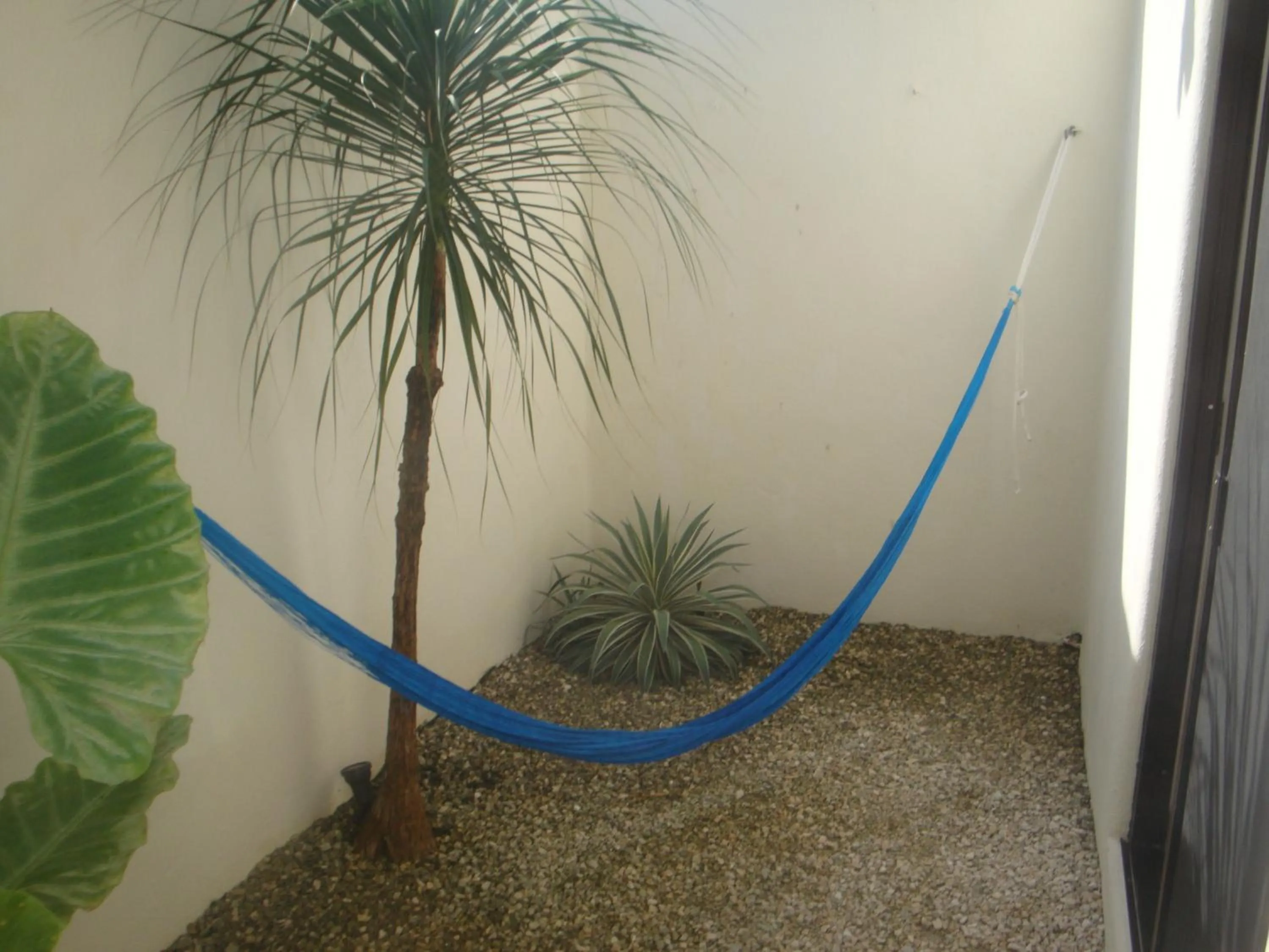 Balcony/Terrace in Lo Nuestro Petit Hotel Tulum