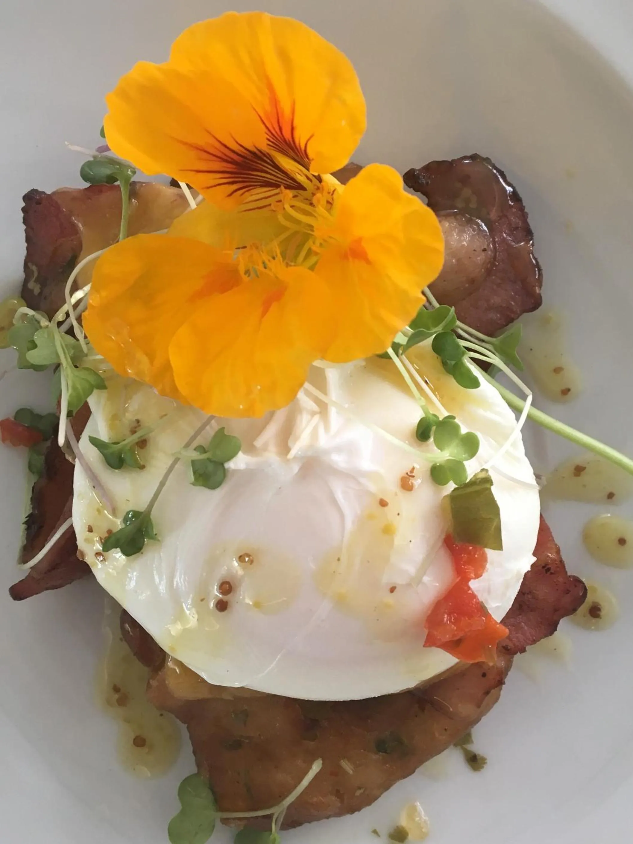 Food close-up in 7 on Marine