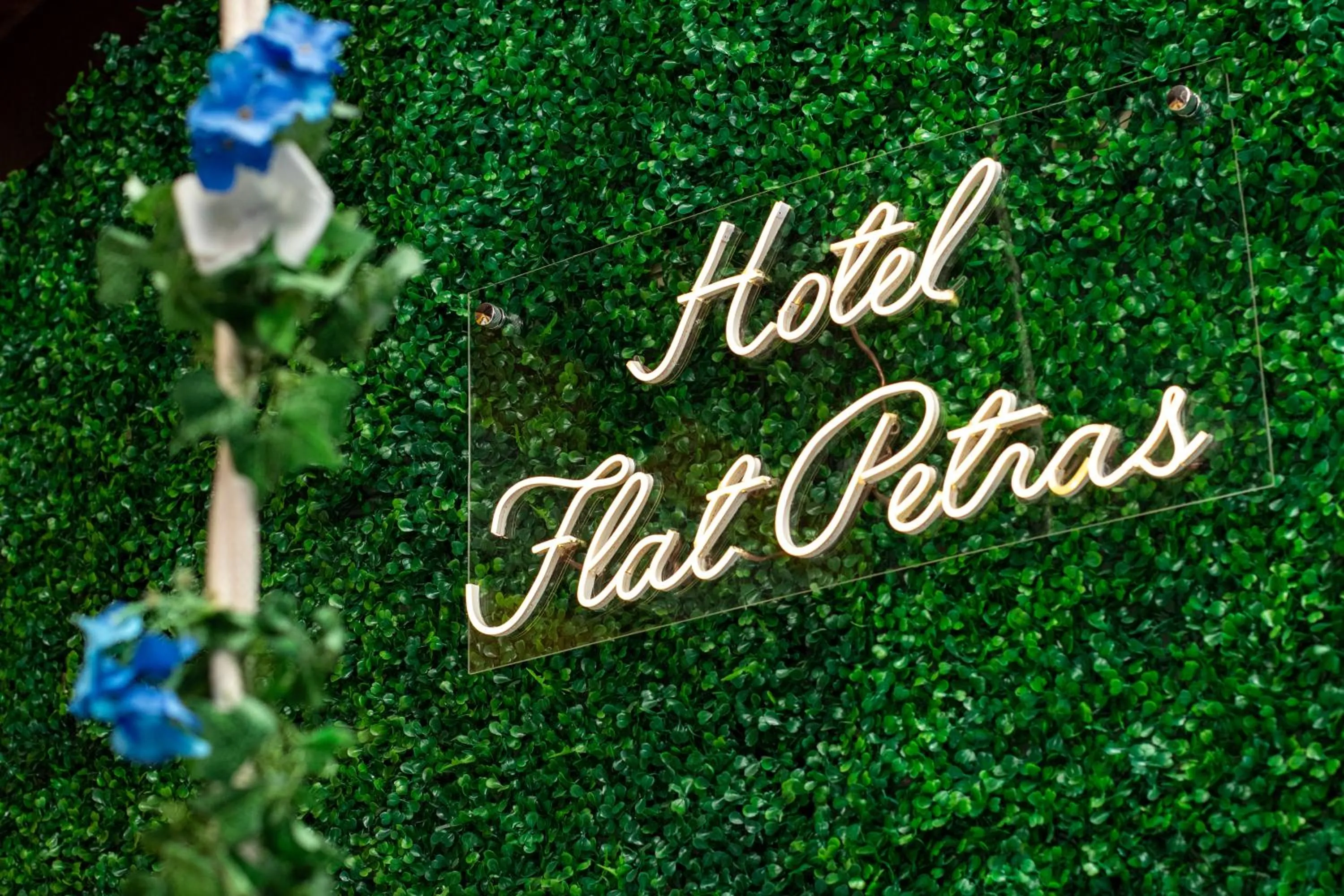 Property logo or sign in Hotel Flat Petras Residence