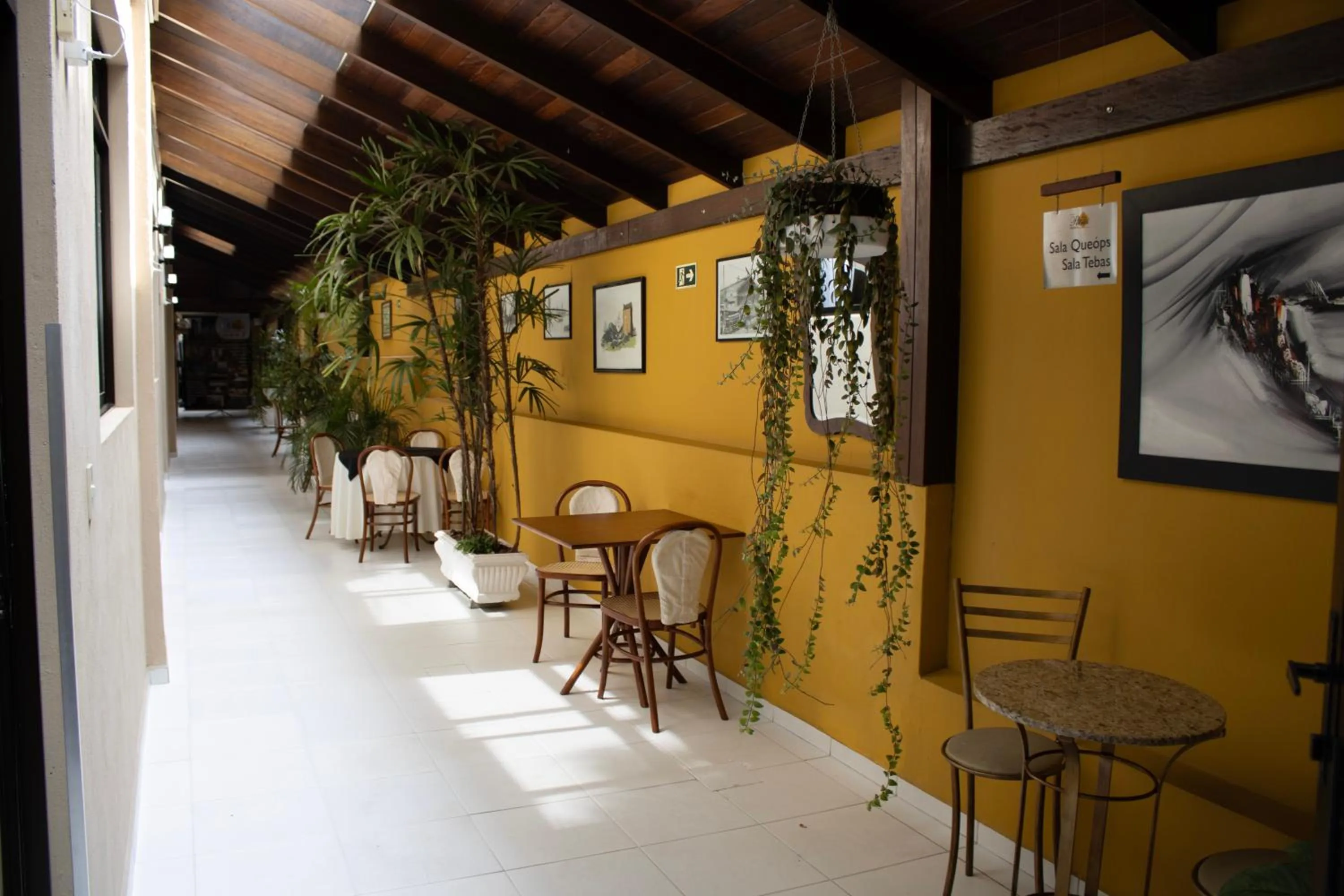 Garden in Hotel Flat Petras Residence