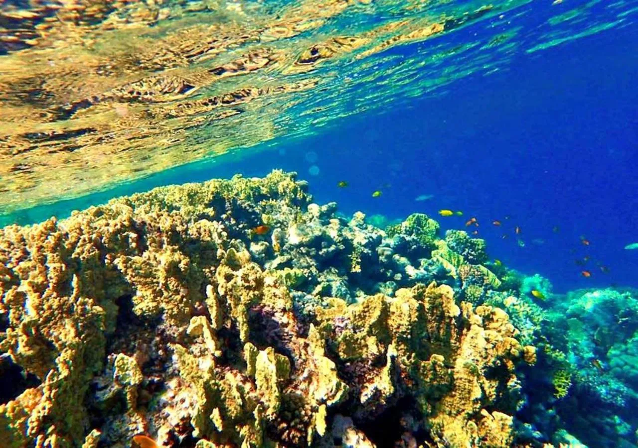 Sharm El Naga Resort and Diving Center