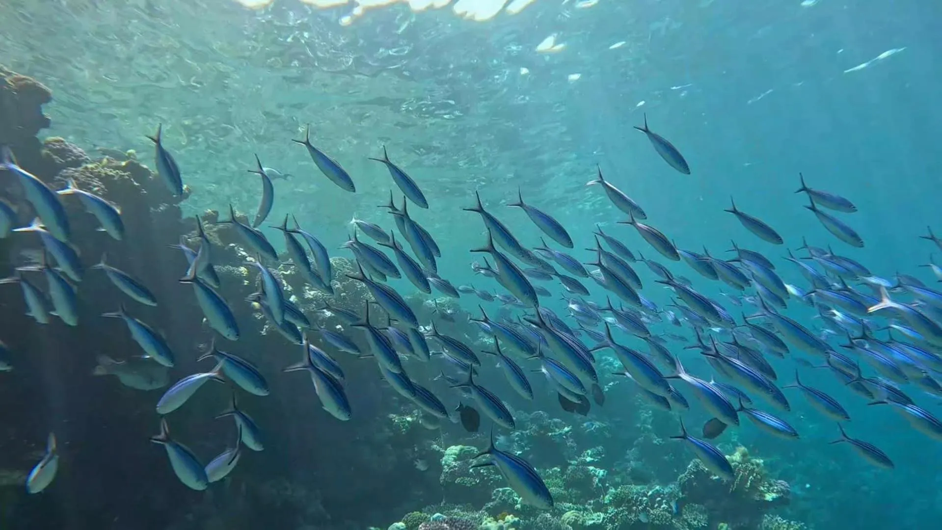 Sharm El Naga Resort and Diving Center