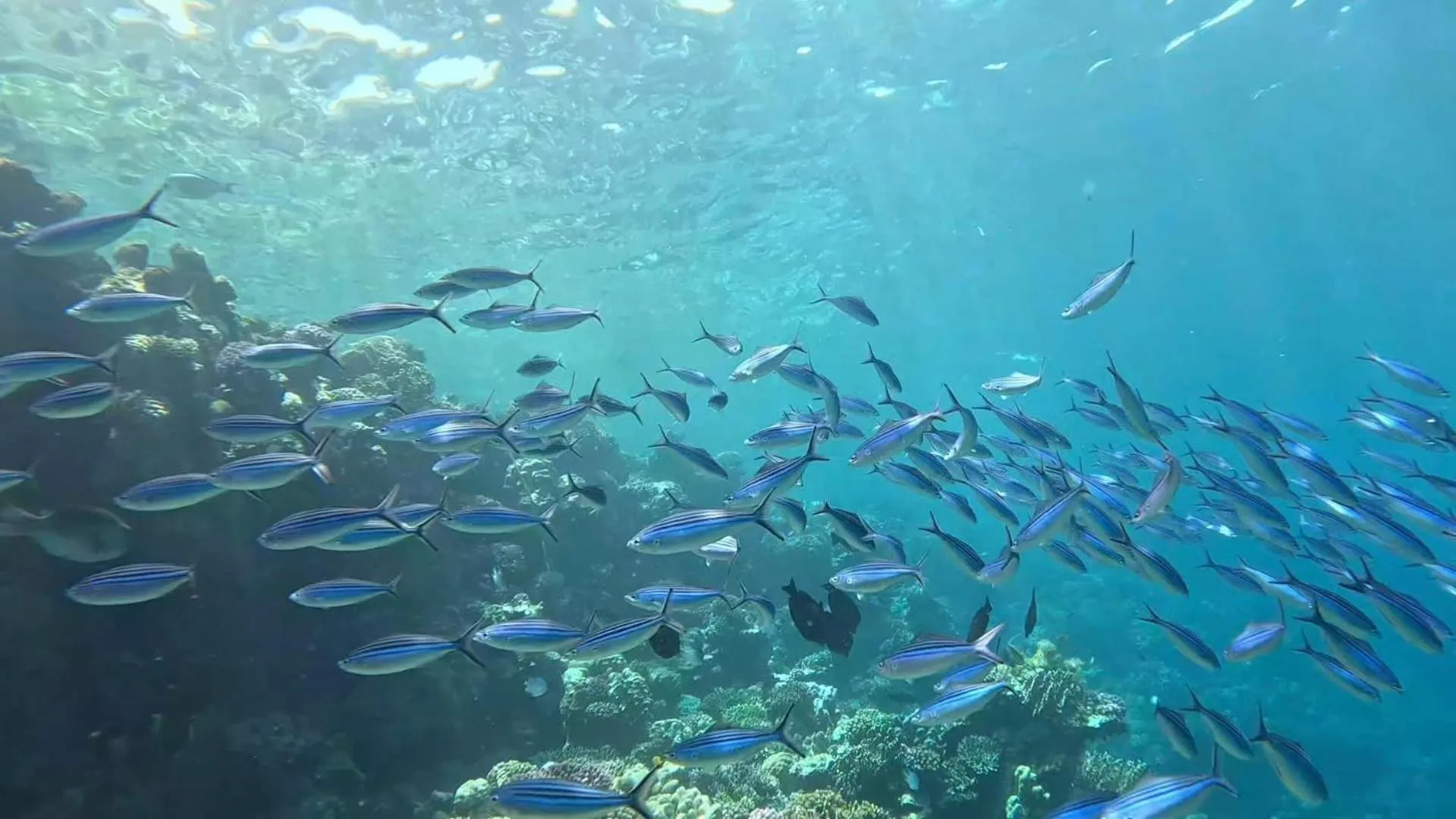 Sharm El Naga Resort and Diving Center