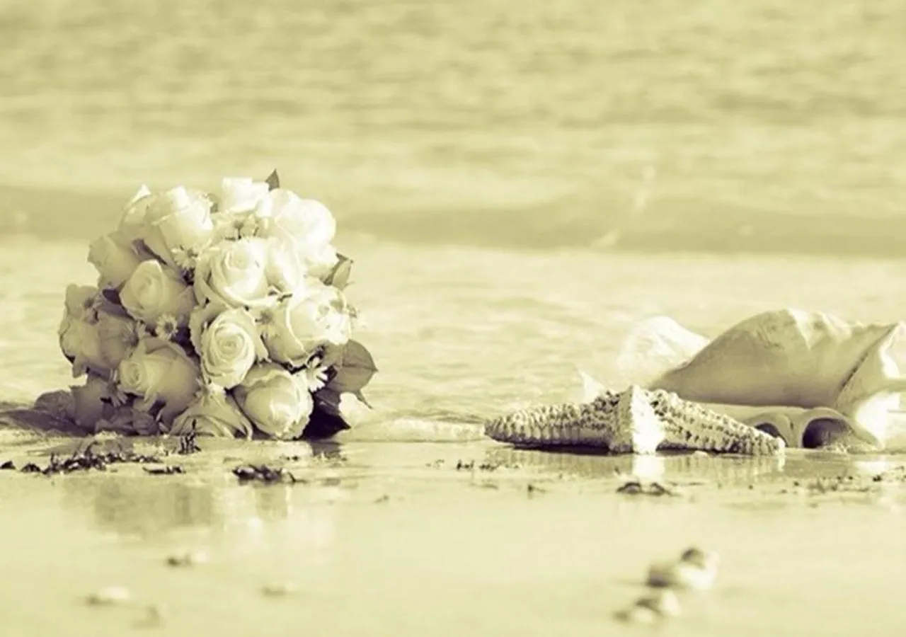 Sharm El Naga Resort and Diving Center