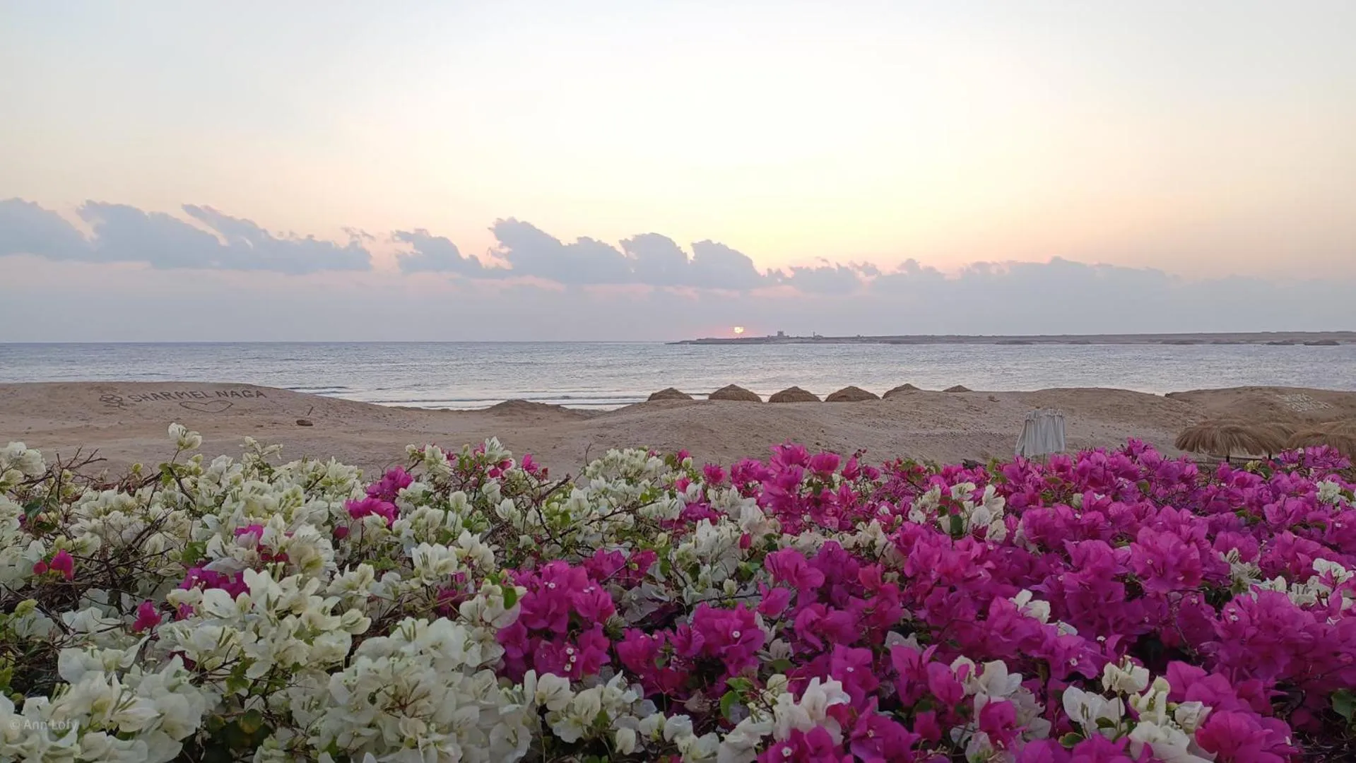 Sharm El Naga Resort and Diving Center