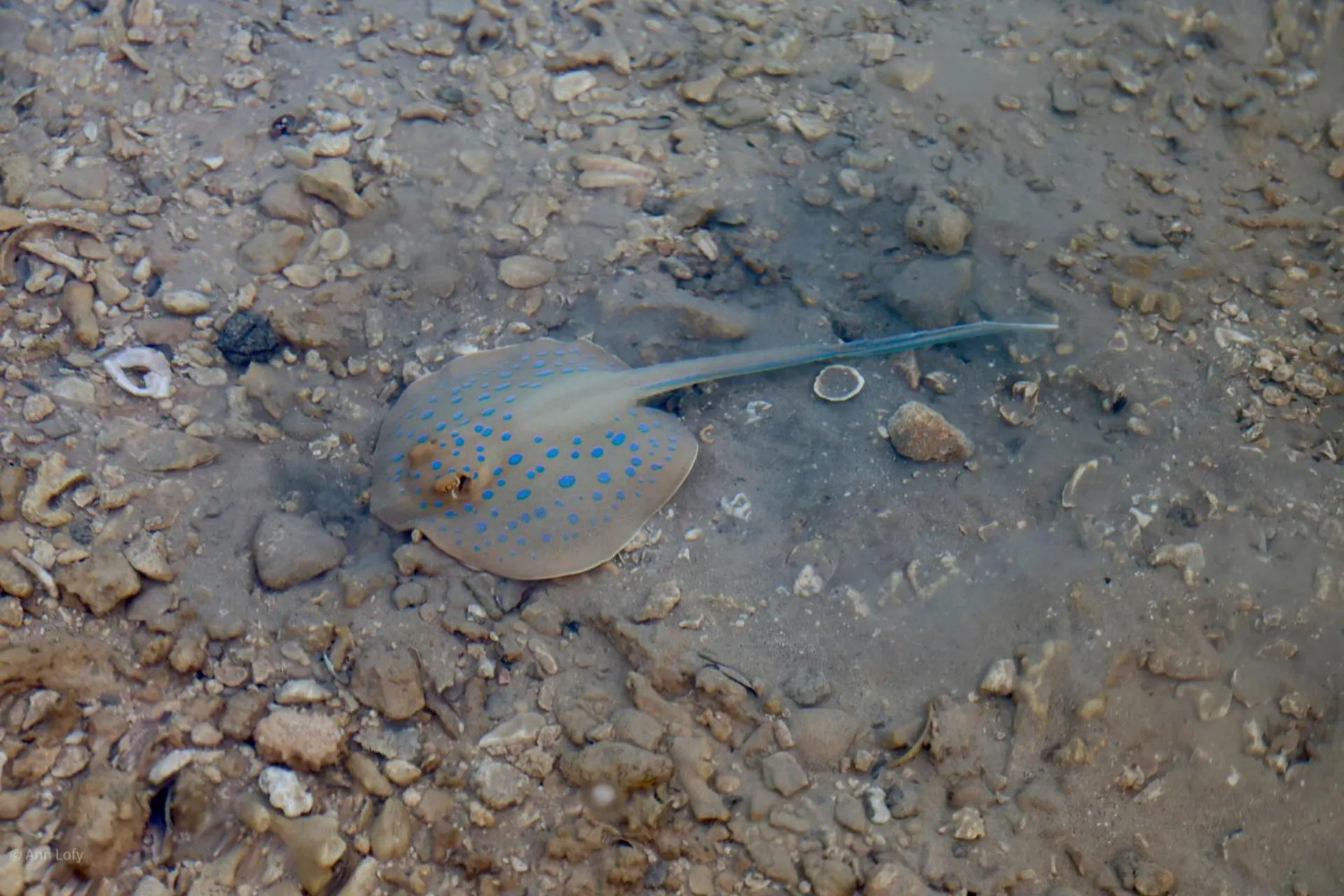 Sharm El Naga Resort and Diving Center