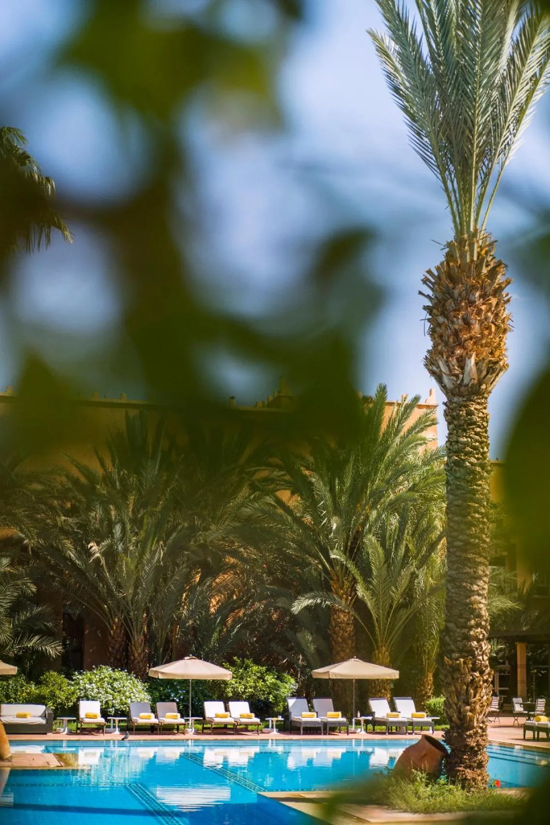 Swimming pool in Berbère Palace