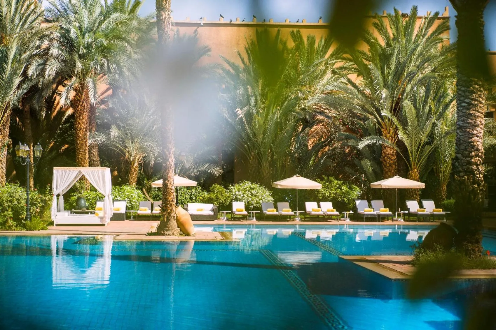 Garden in Berbère Palace
