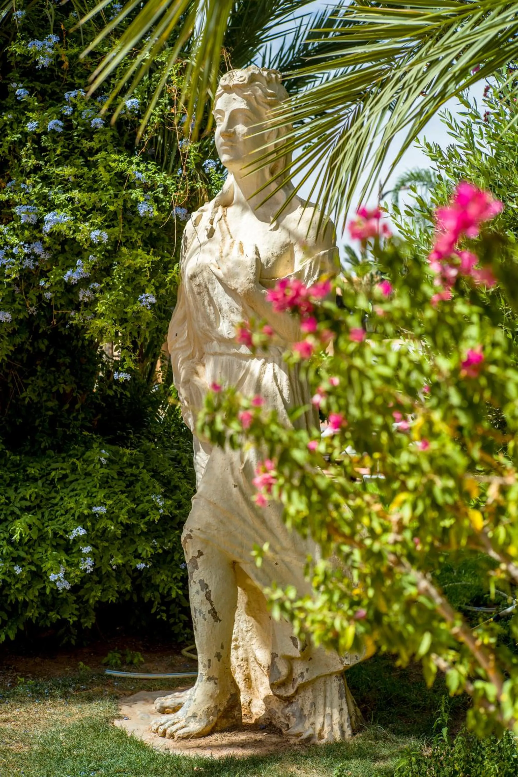 Garden in Berbère Palace