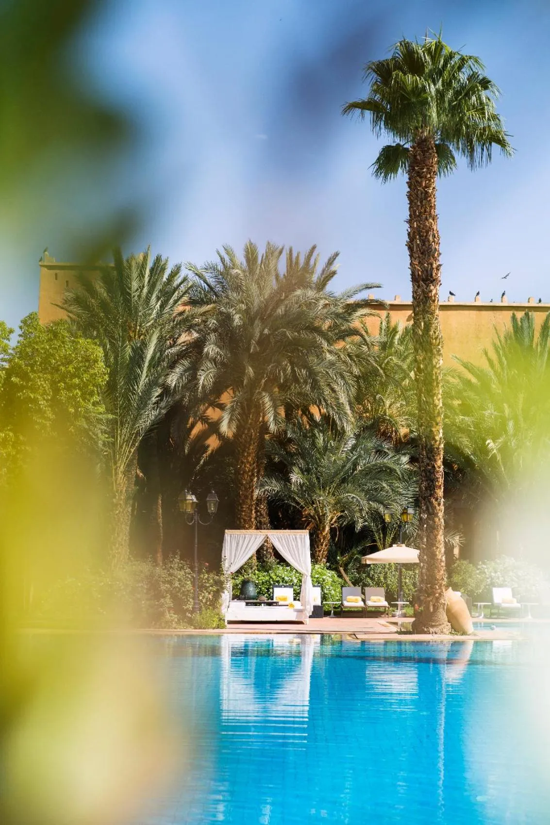 Garden in Berbère Palace