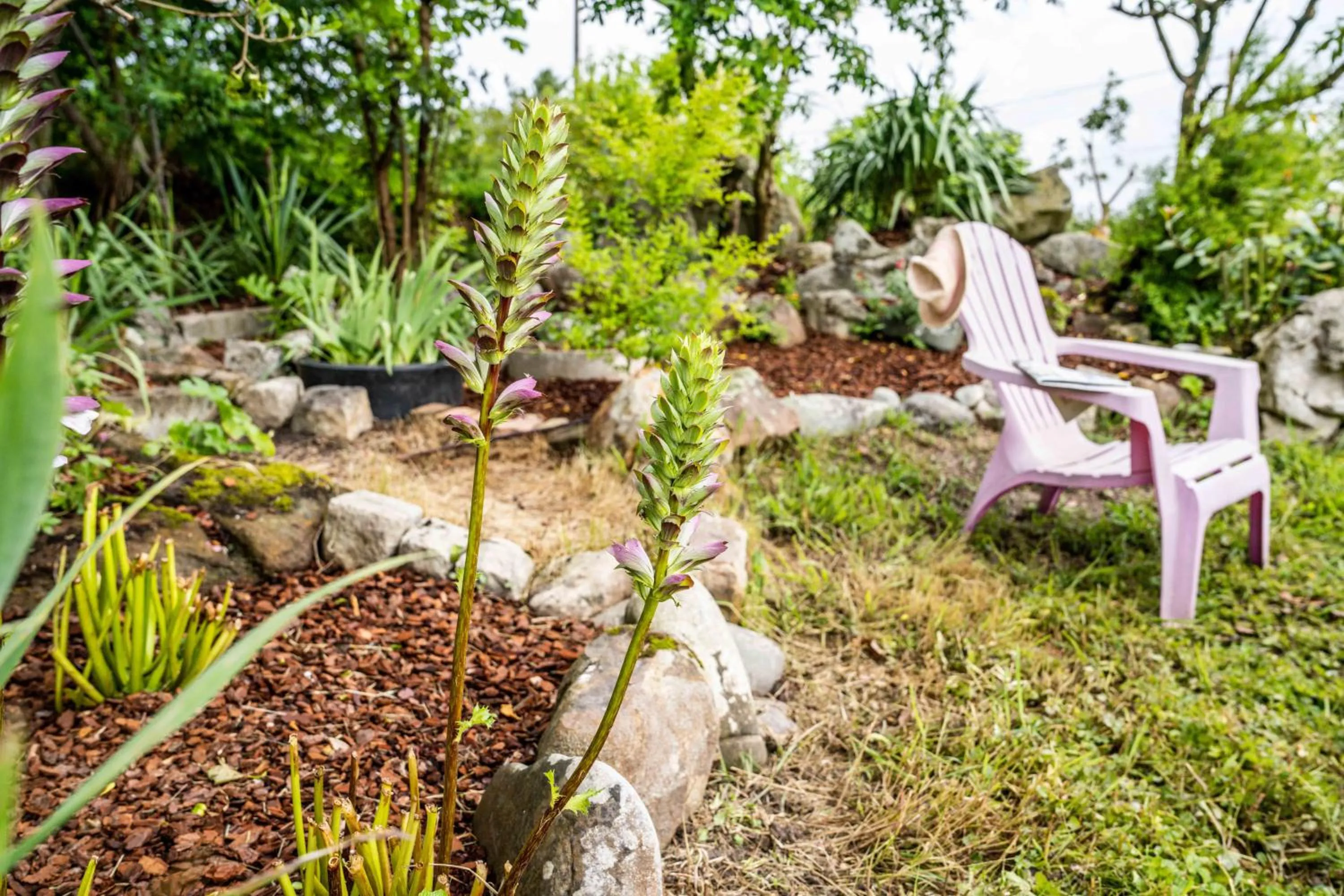 Natural landscape in Logis Hôtel La crémaillère