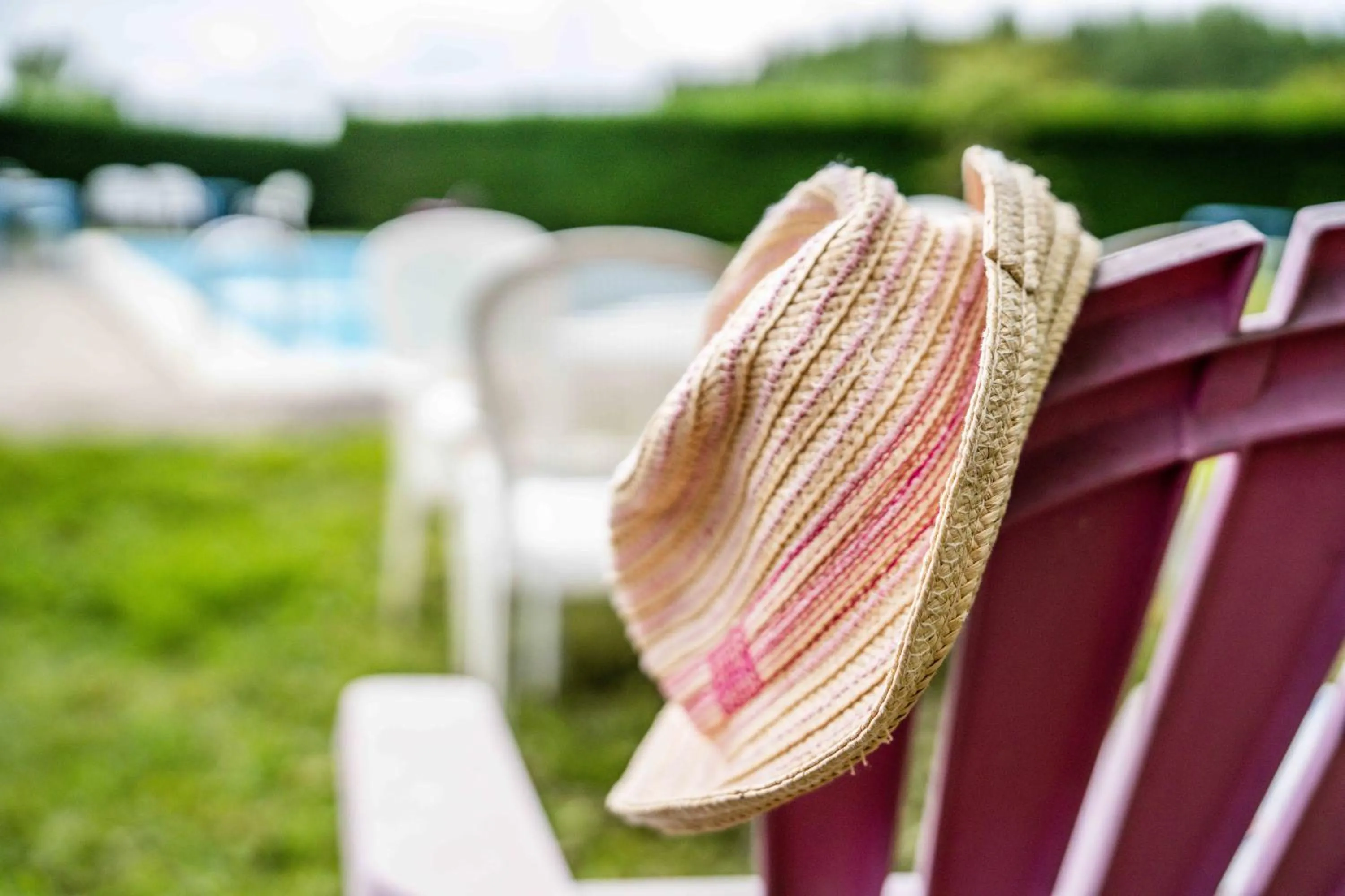 Garden in Logis Hôtel La crémaillère