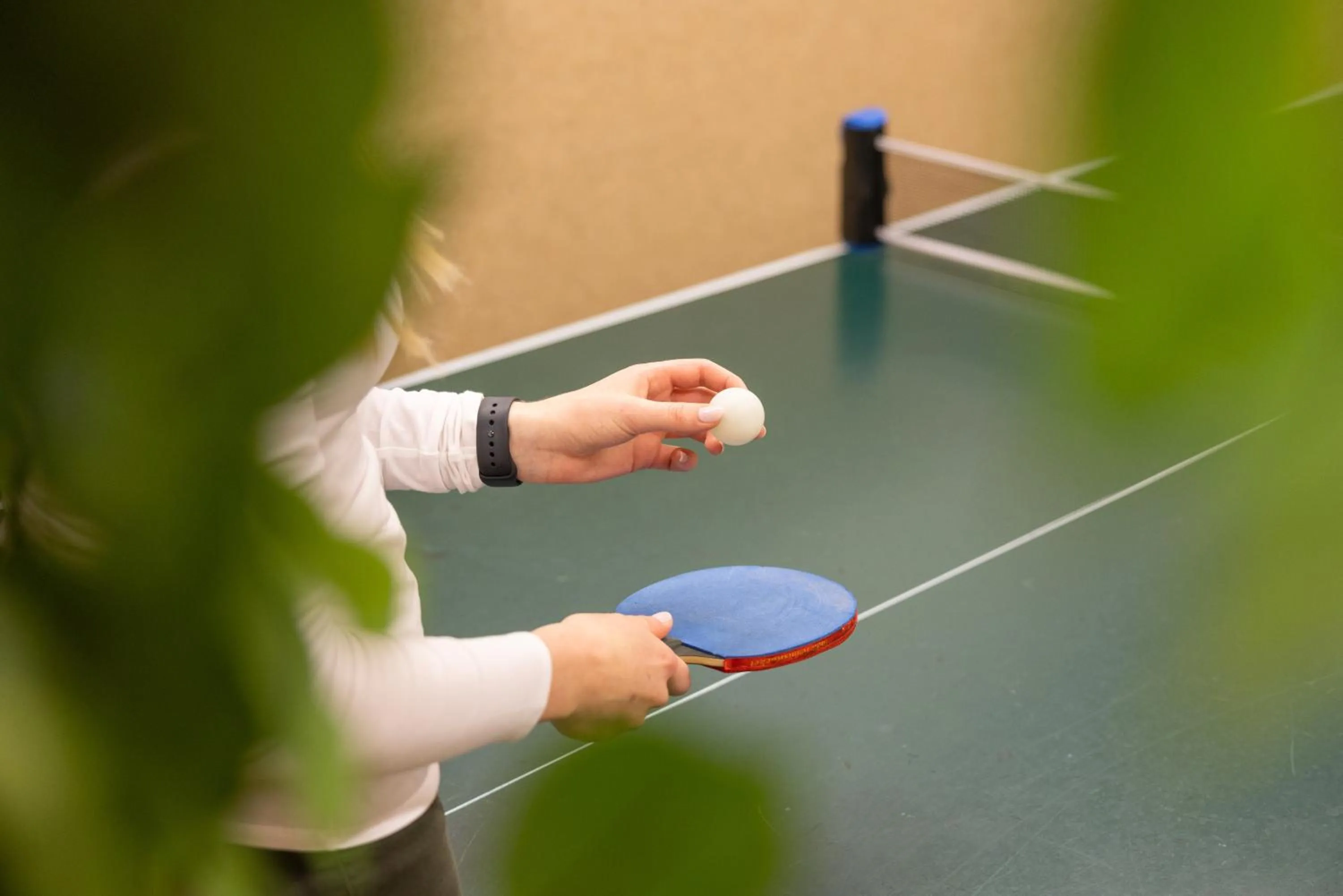 Table tennis in Aktiv & Vitalhotel Bergcristall