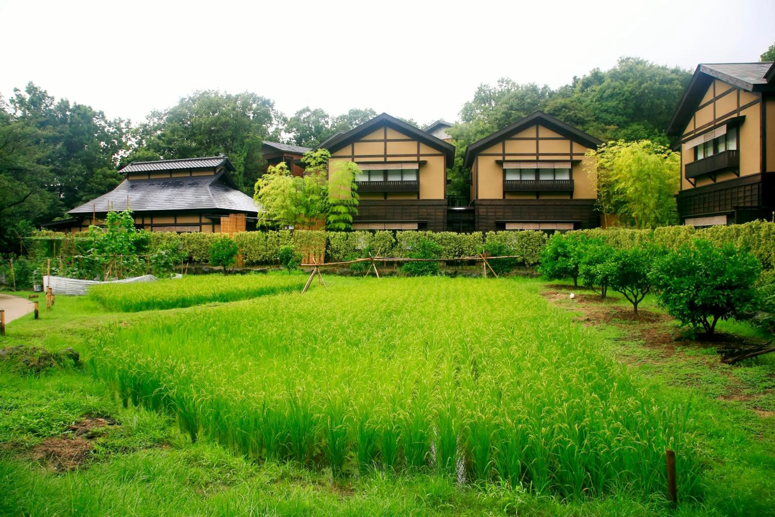 Area and facilities in Mori no yu Kira No Sato Reopening on December 22, 2025