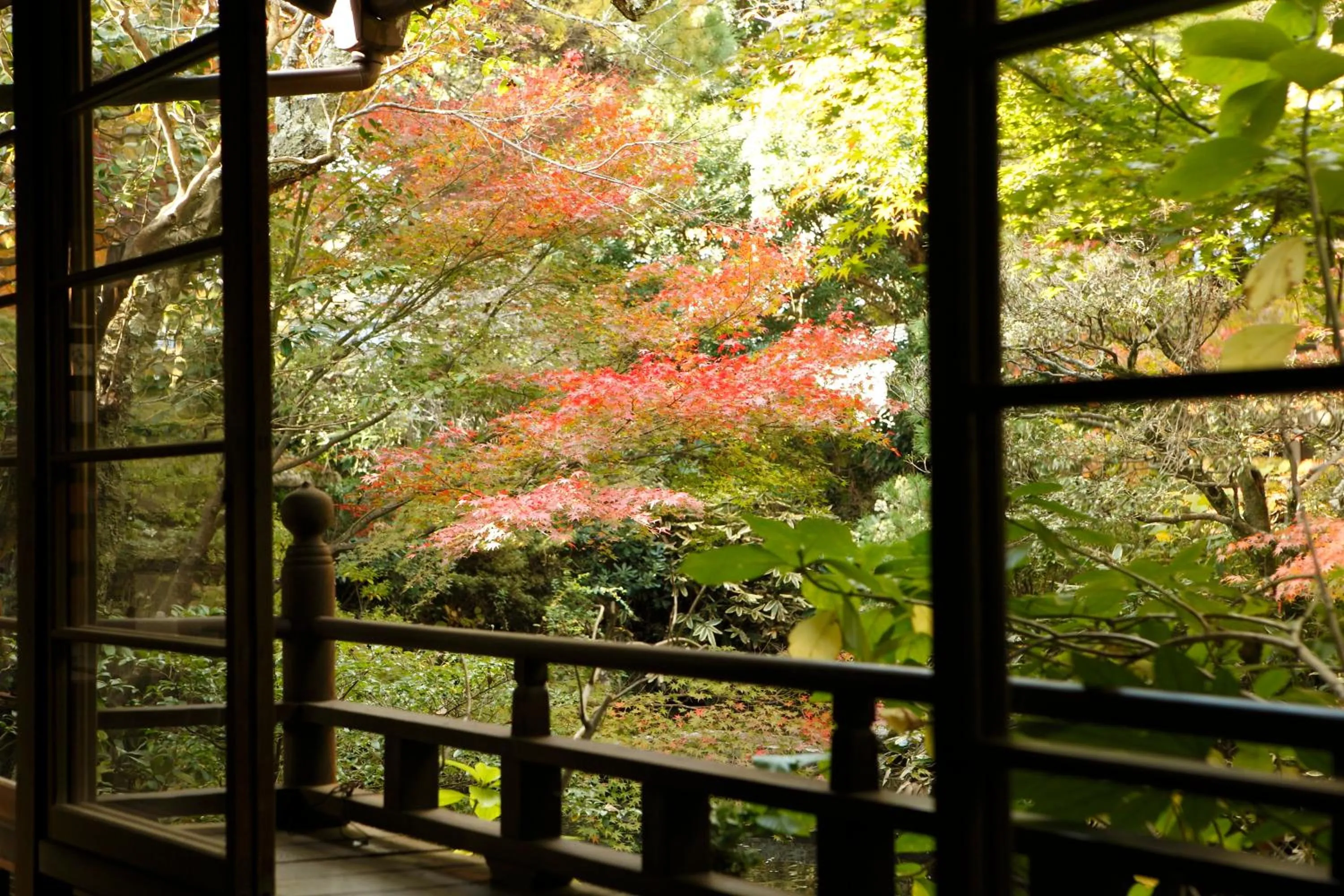 Balcony/Terrace in Yukairo Kikuya