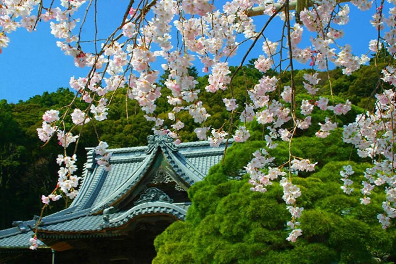 Nearby landmark in Yukairo Kikuya