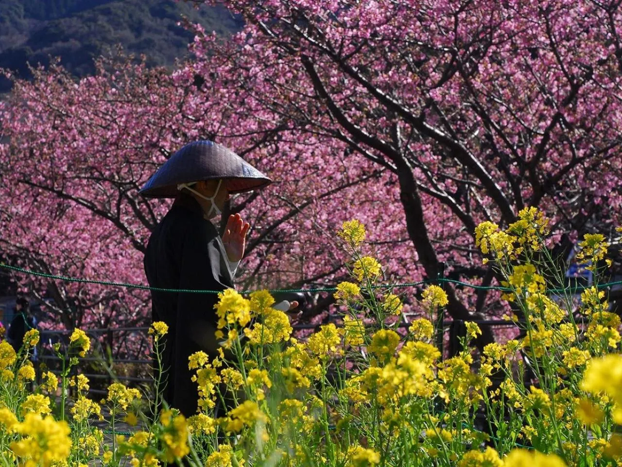 Nearby landmark in Yukairo Kikuya