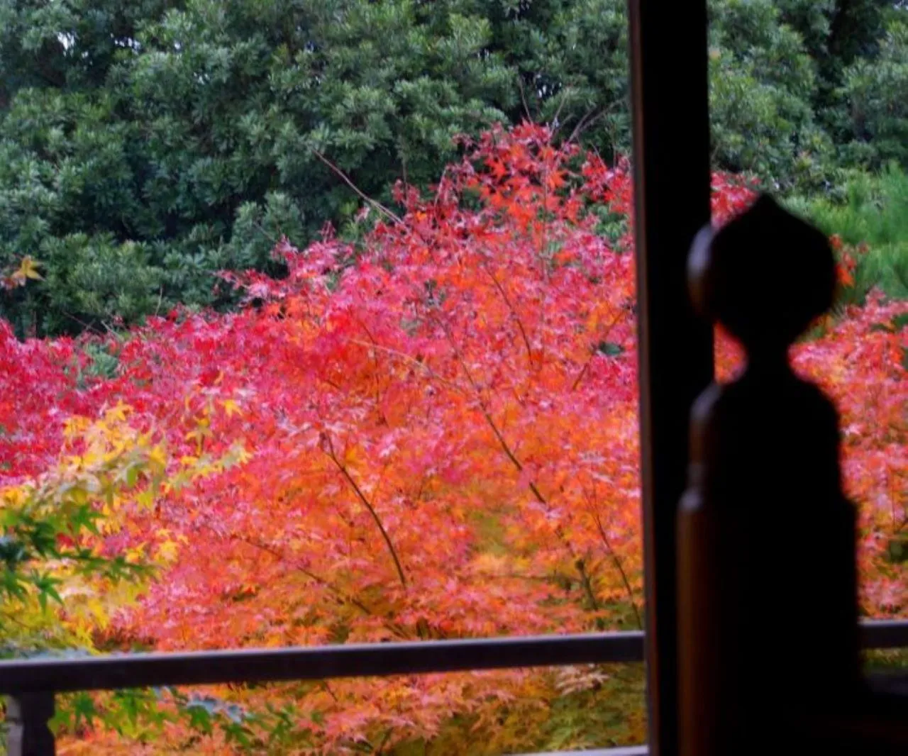 Natural landscape in Yukairo Kikuya