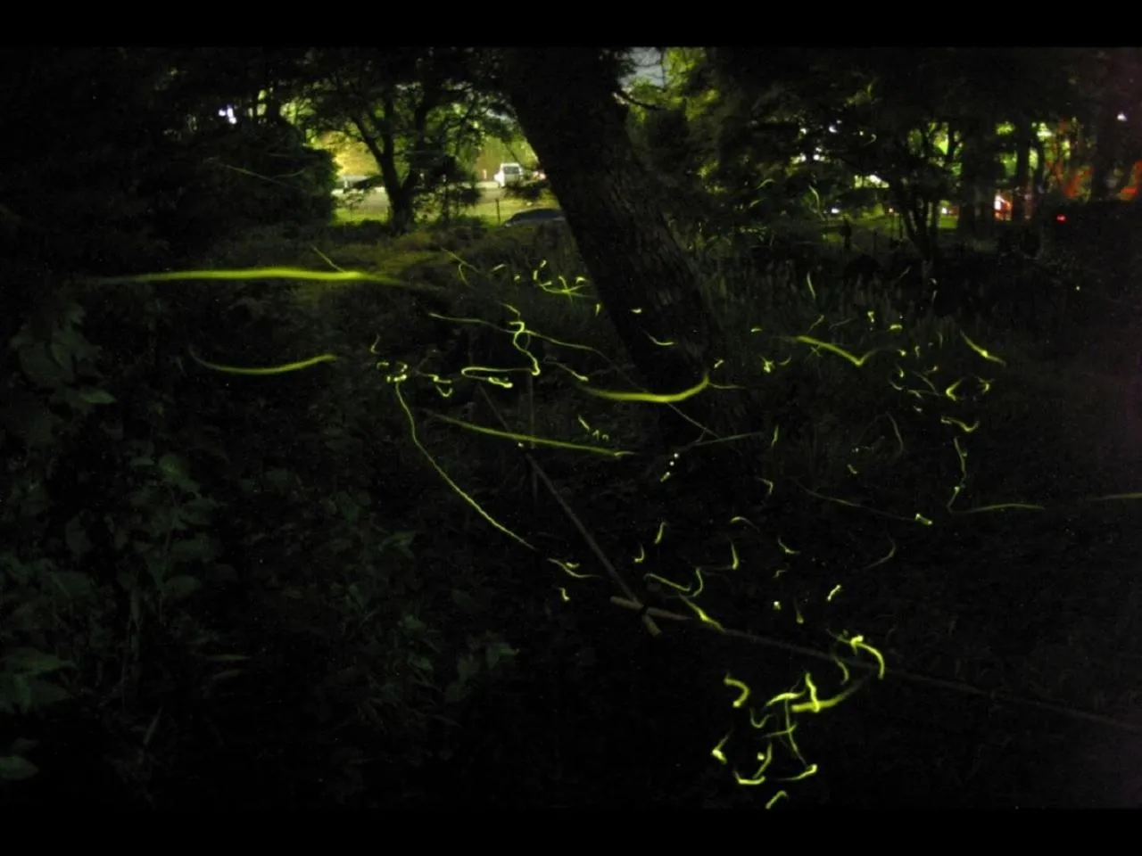 Nearby landmark in Yukairo Kikuya