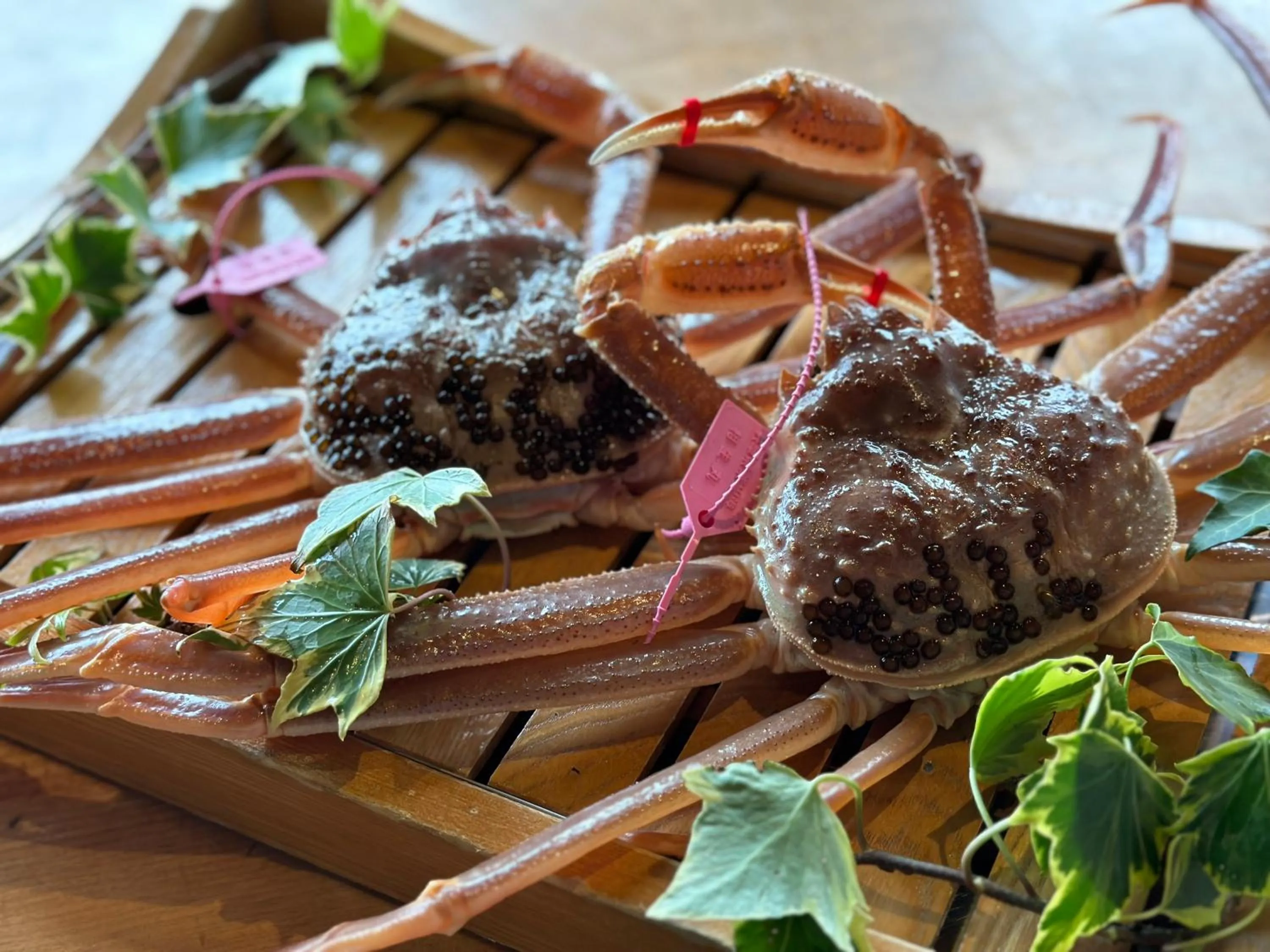 Restaurant/places to eat in Ginka