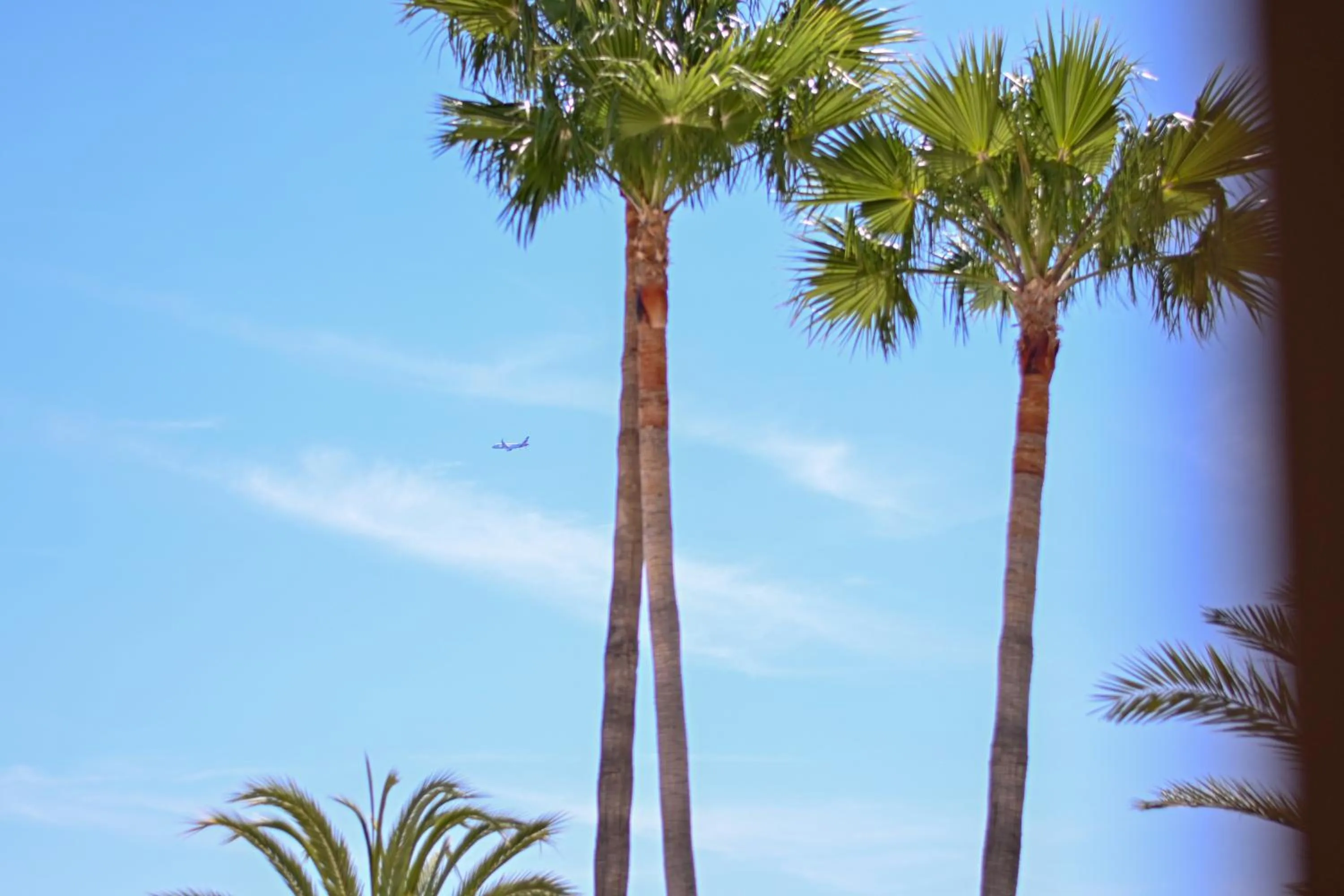 Summer in Hotel Figueretes