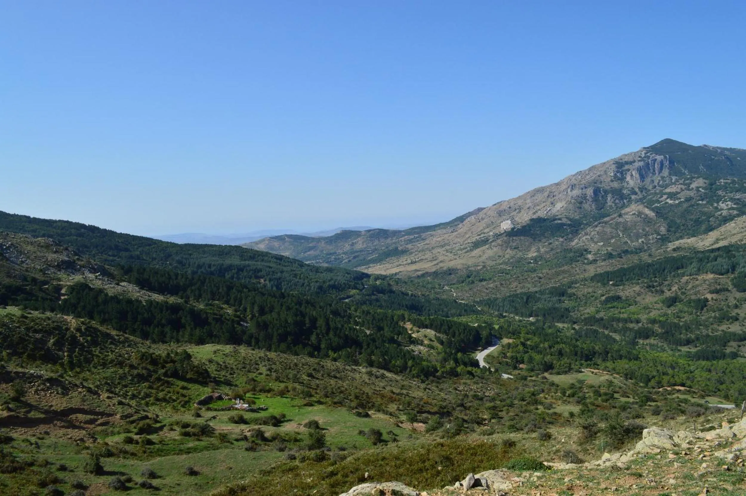 Other in Il Castello