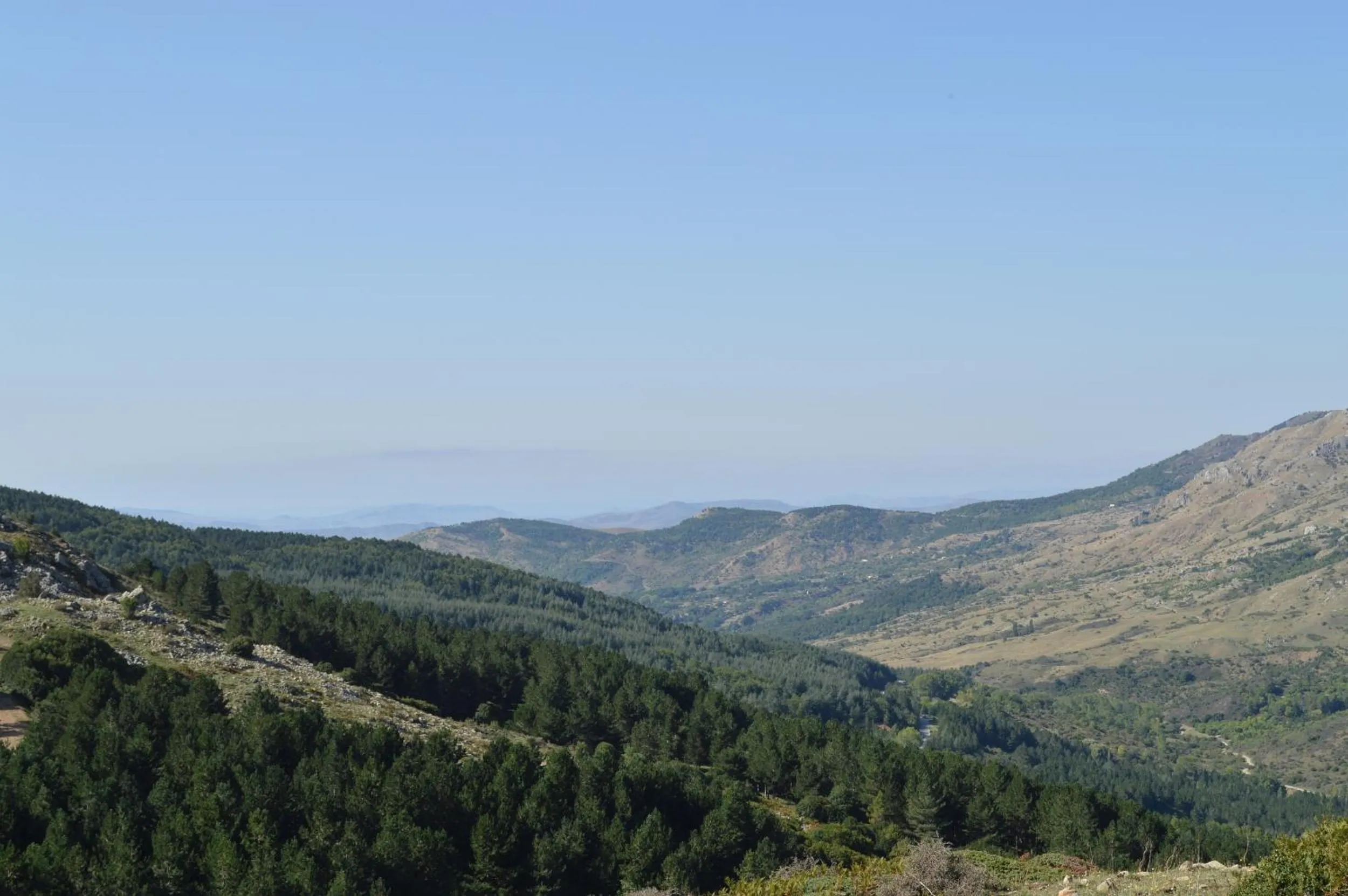 Other in Il Castello