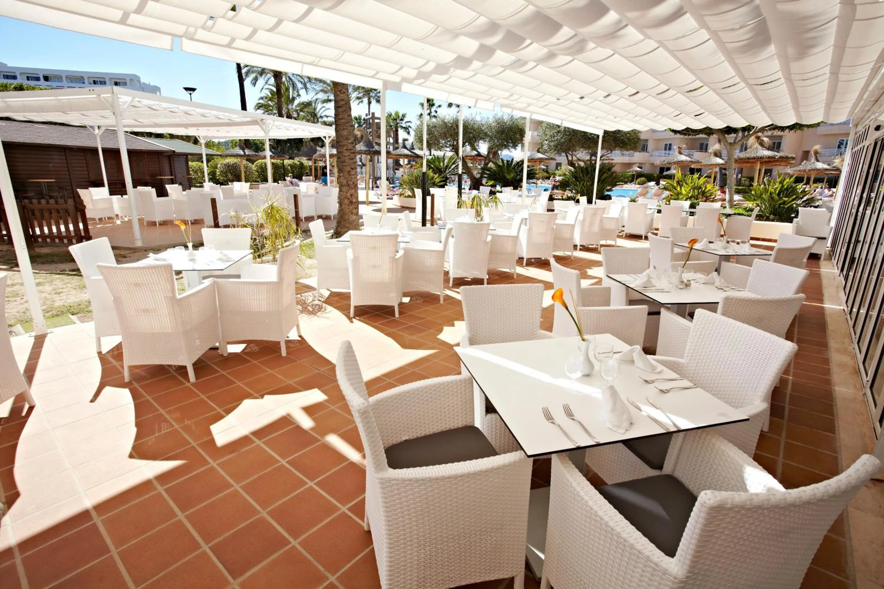 Restaurant/places to eat in Grupotel Port D´Alcudia