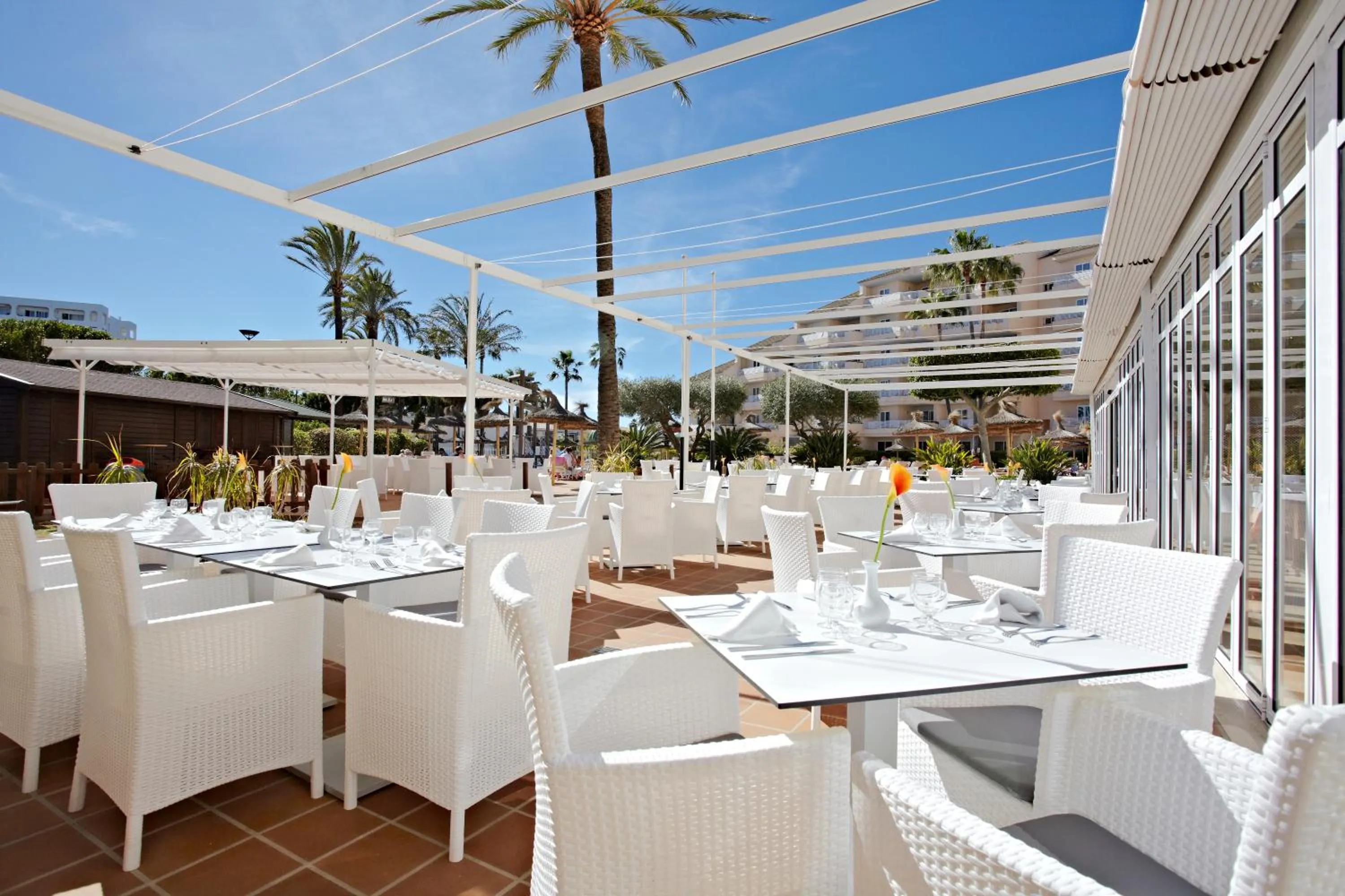 Restaurant/places to eat in Grupotel Port D´Alcudia