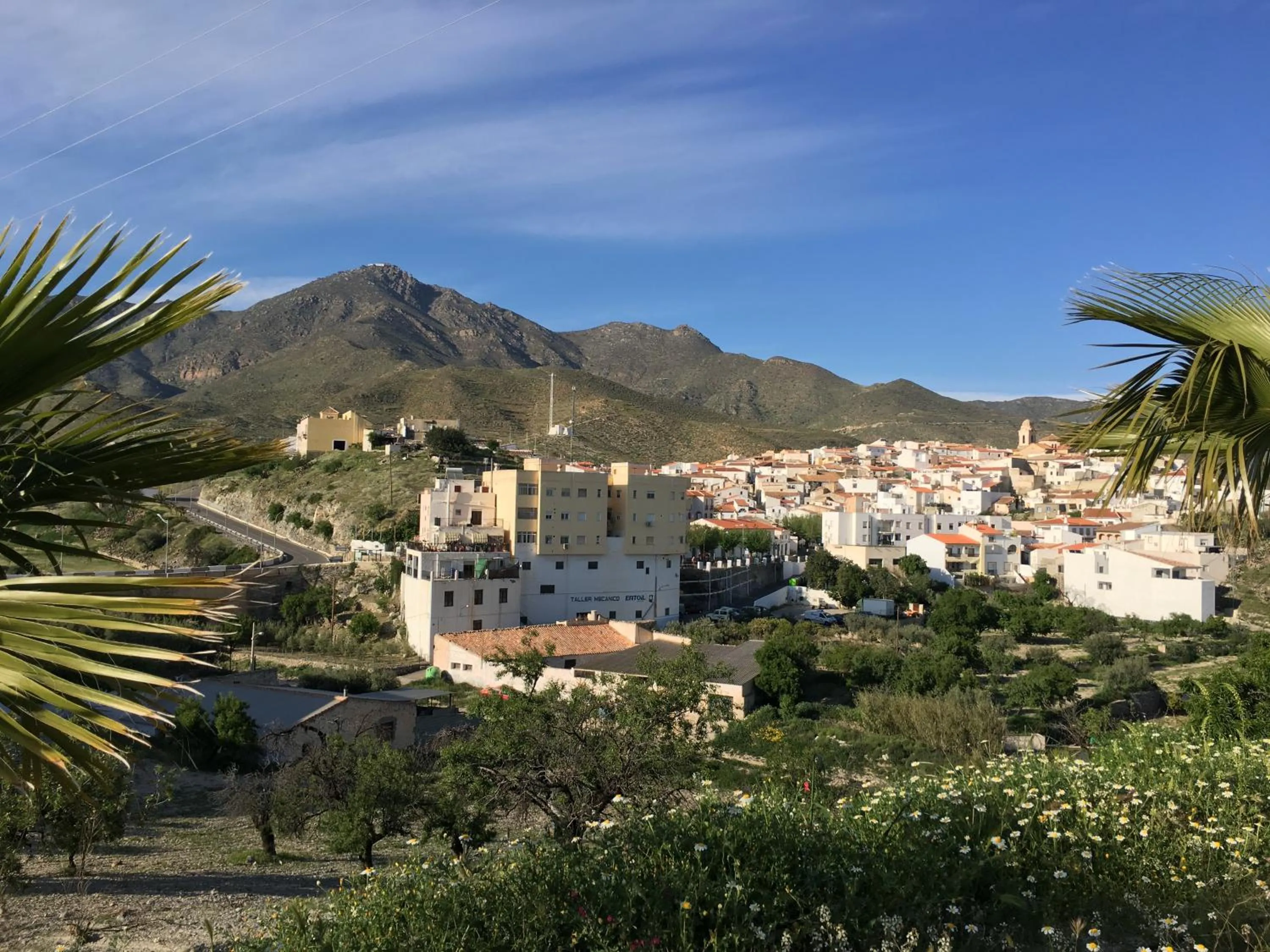 Property building in La Escapada