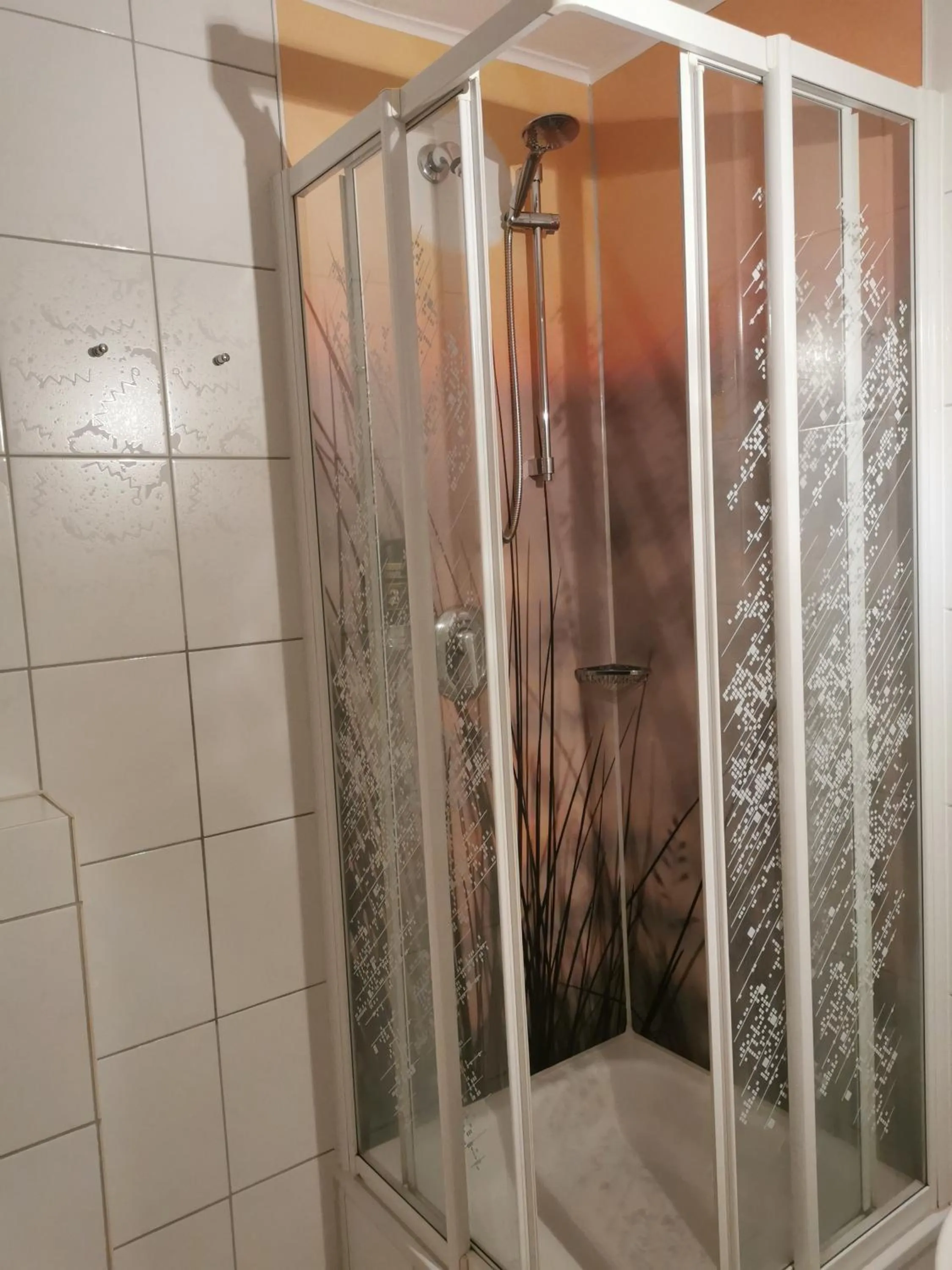 Shower in Hotel am Wariner See
