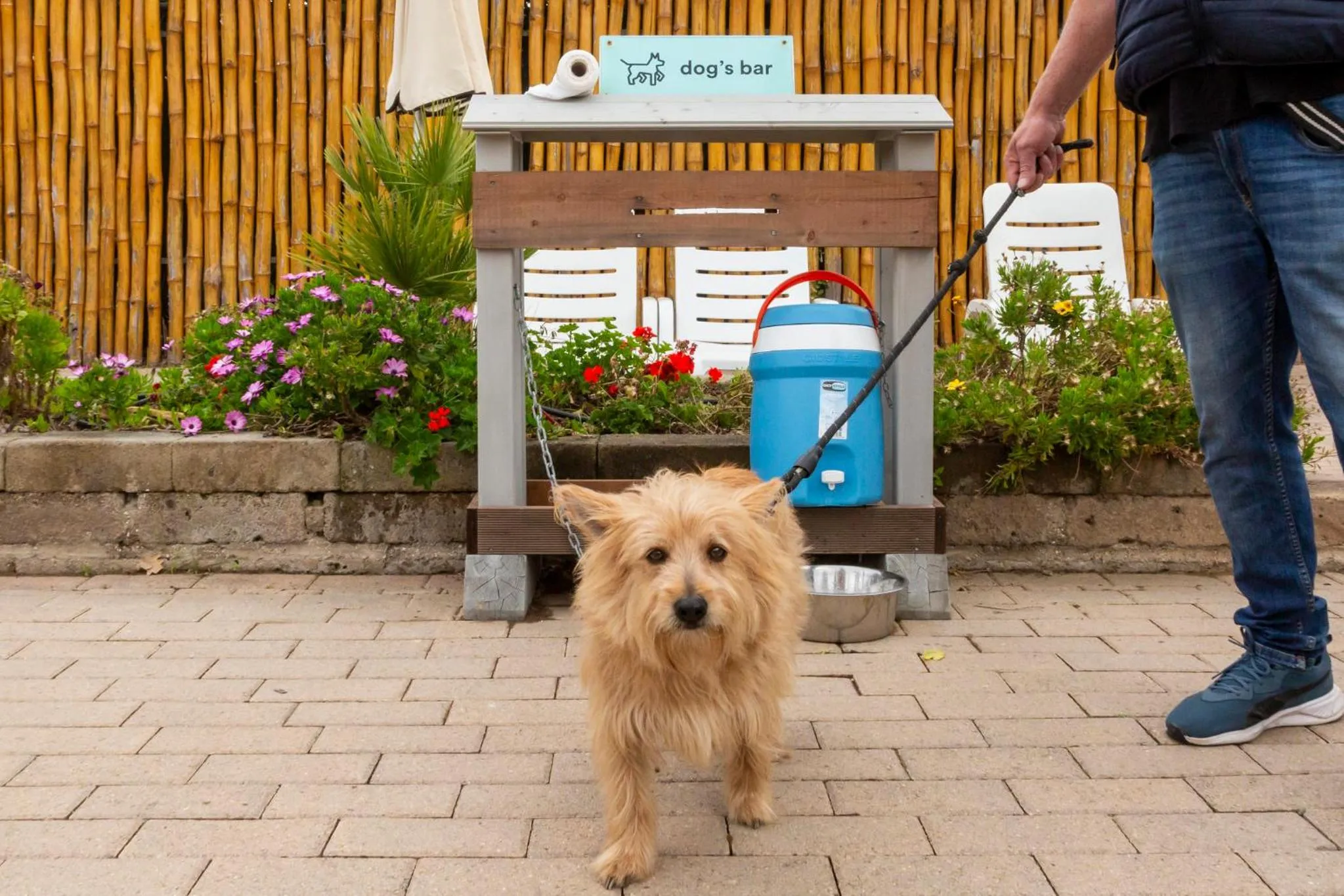 hu Park Albatros village