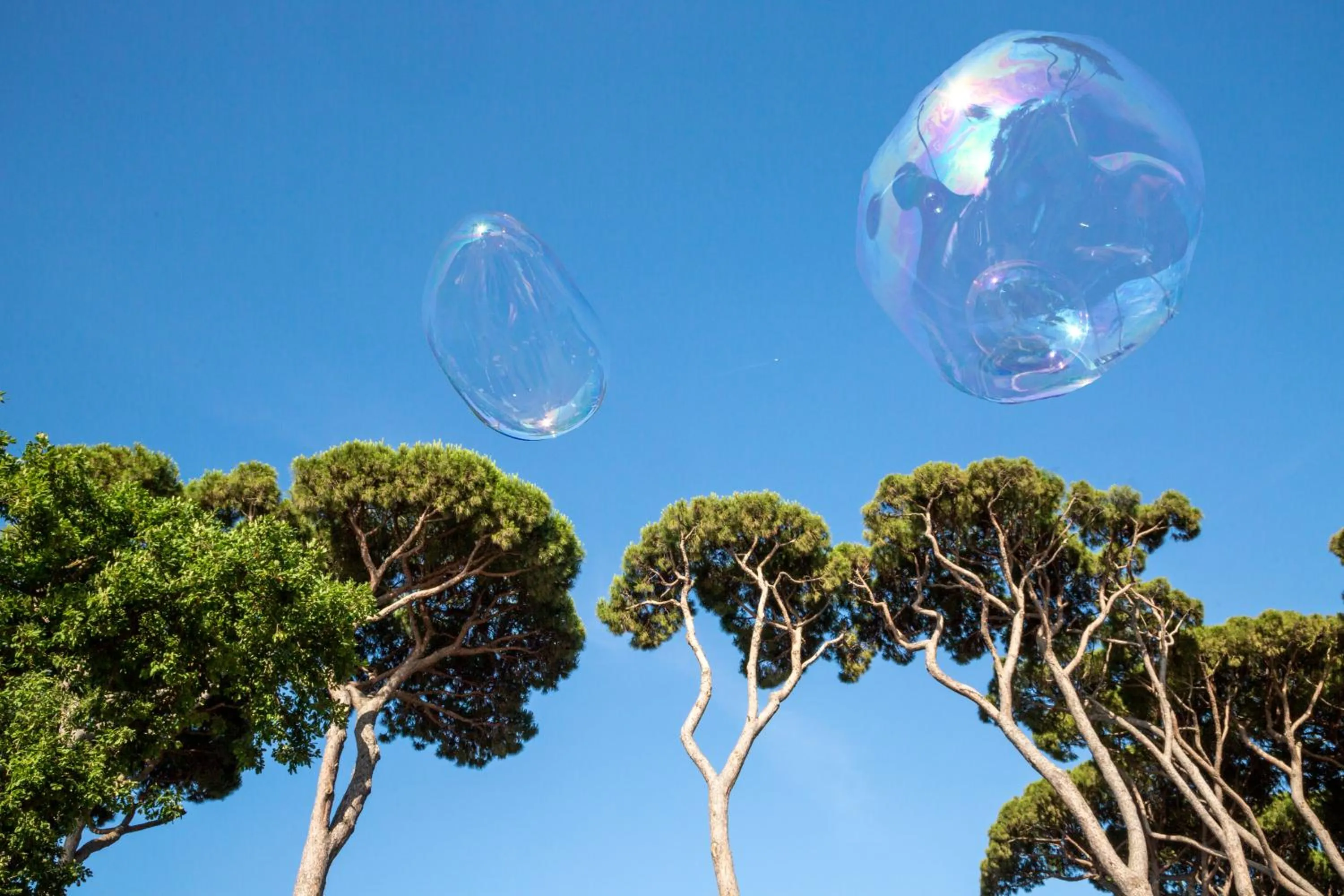 Other in hu Park Albatros village