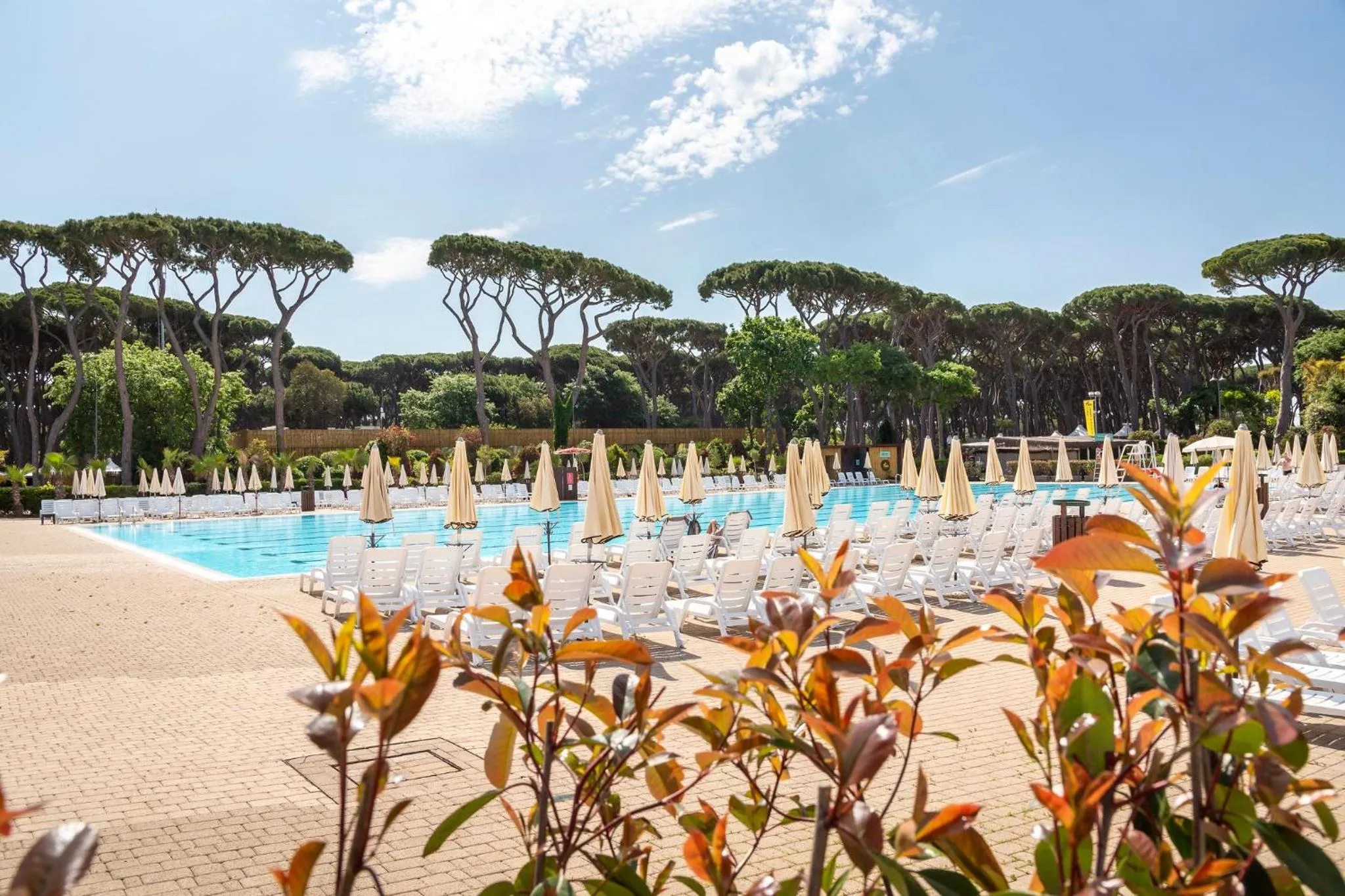 Pool view in hu Park Albatros village