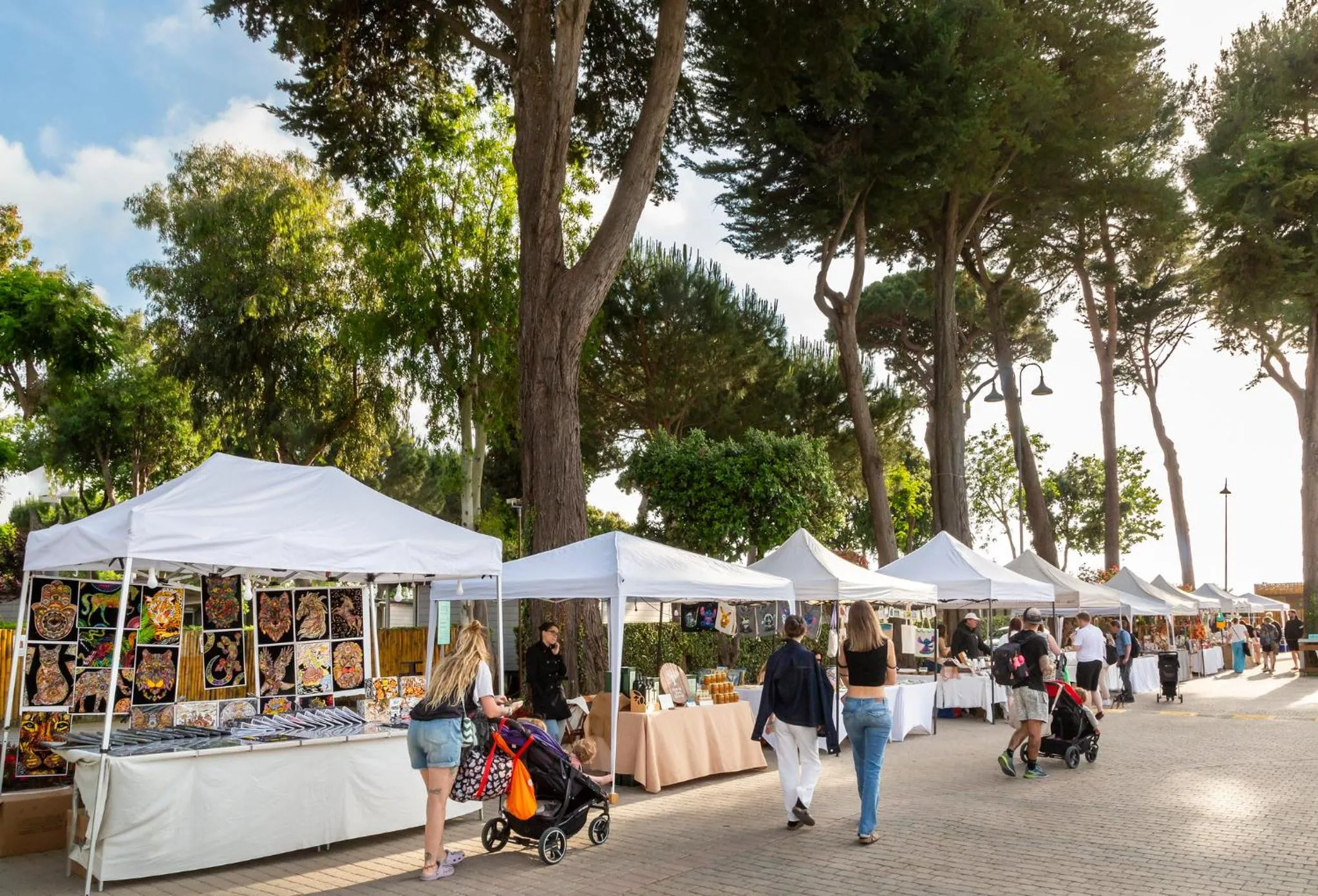 hu Park Albatros village