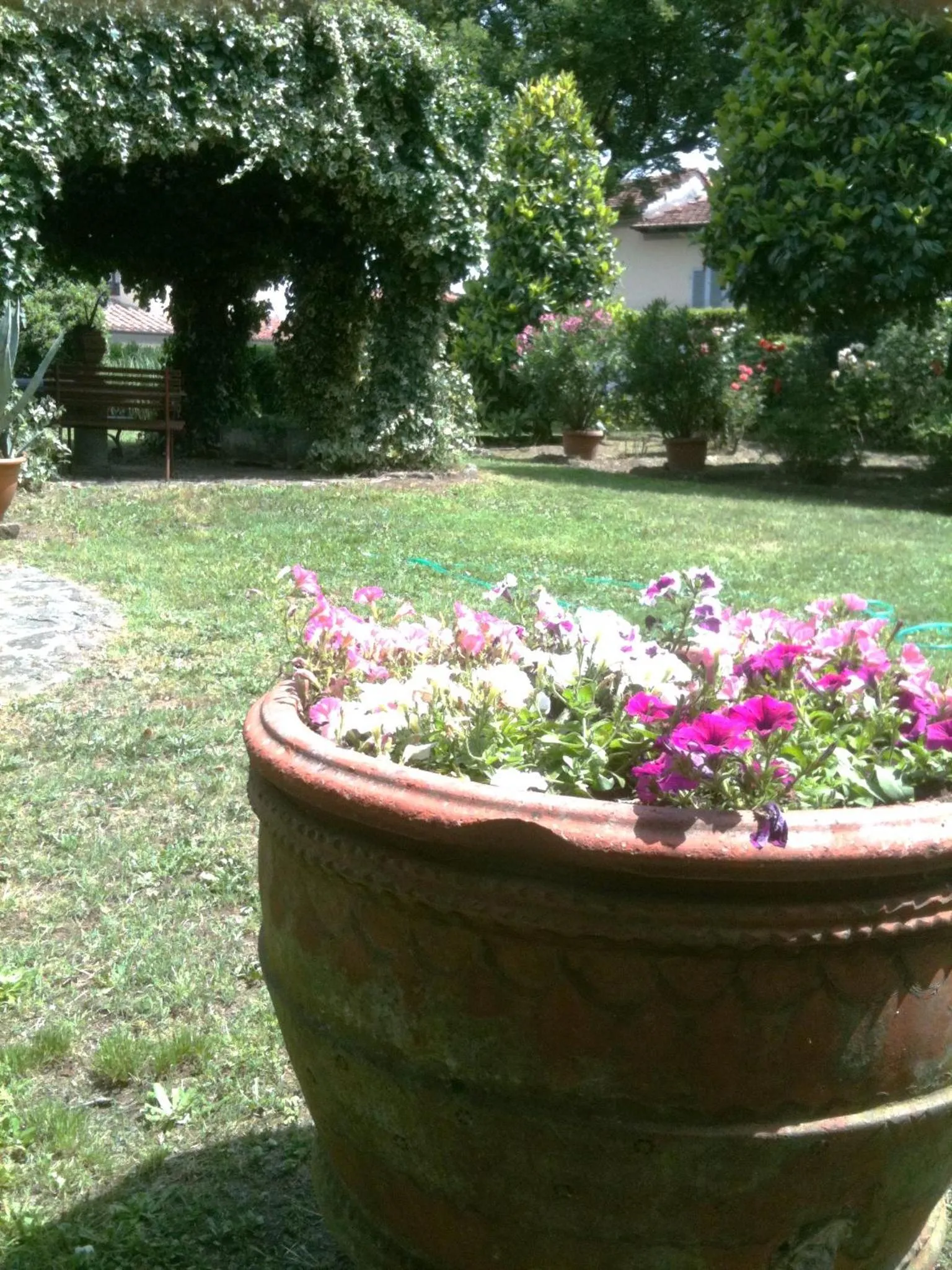 Property building in Alle vecchie mura