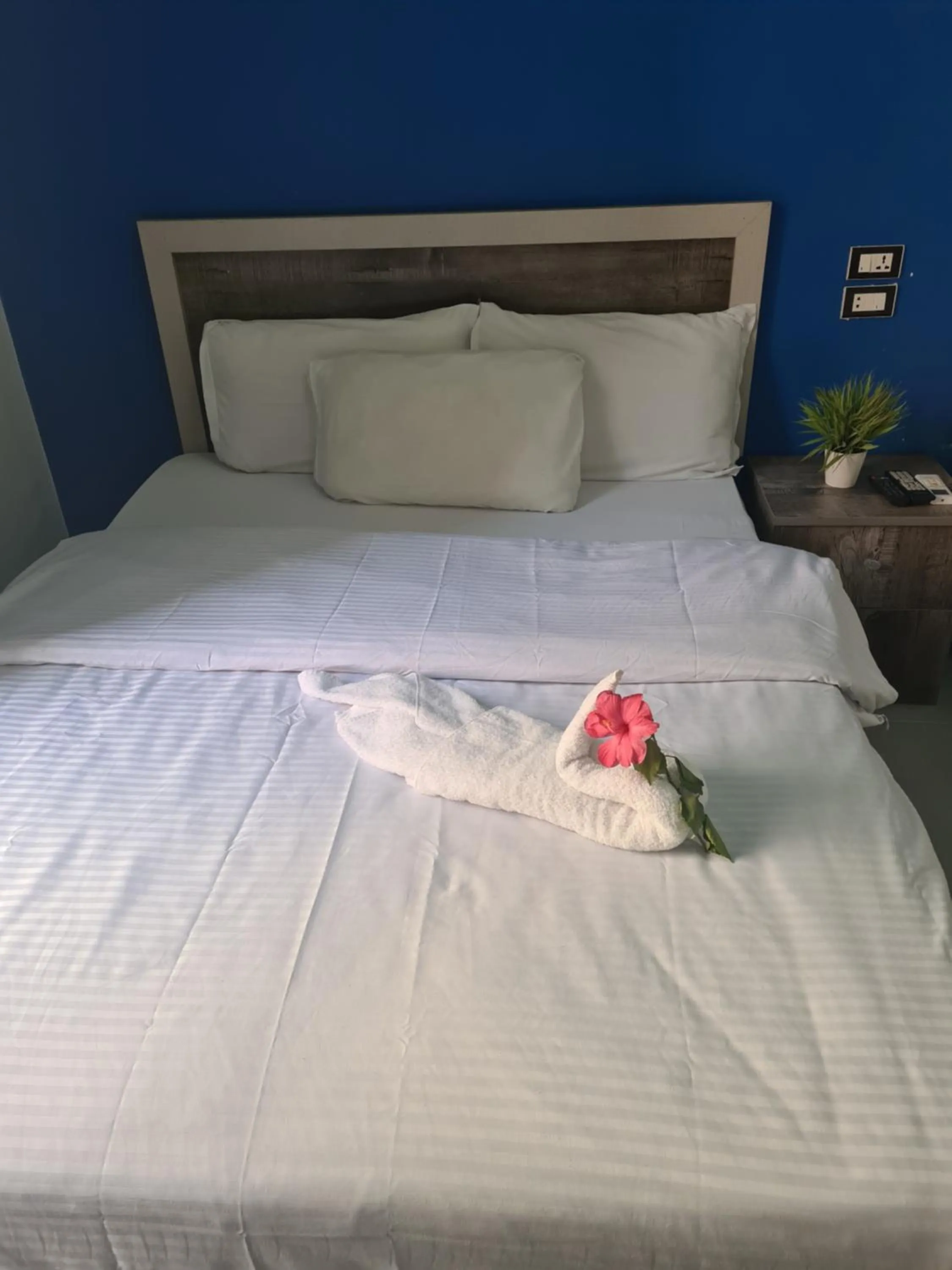 Bed in The Australian Hostel