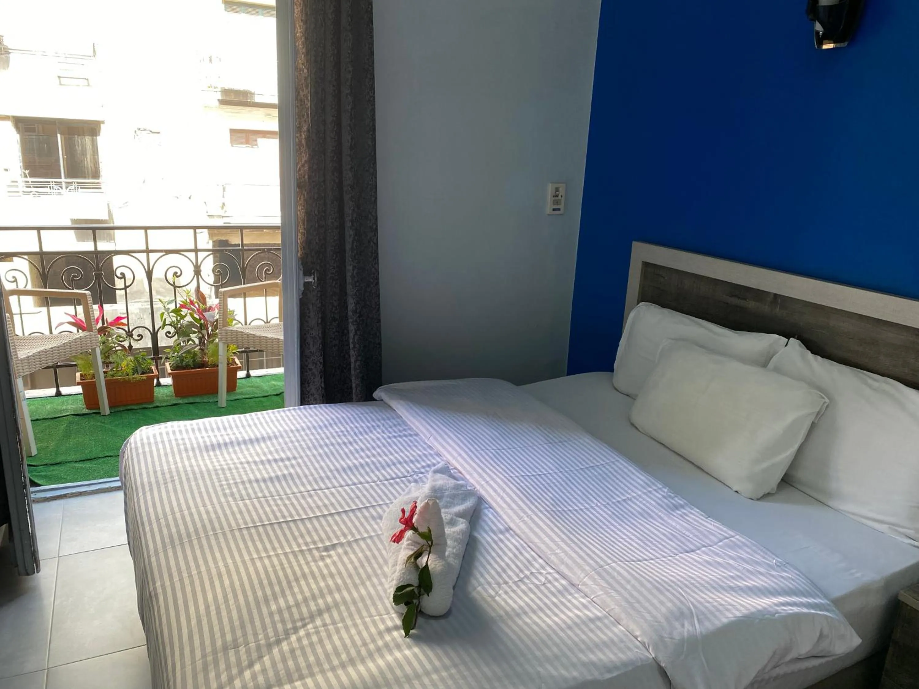 View (from property/room), Bed in The Australian Hostel