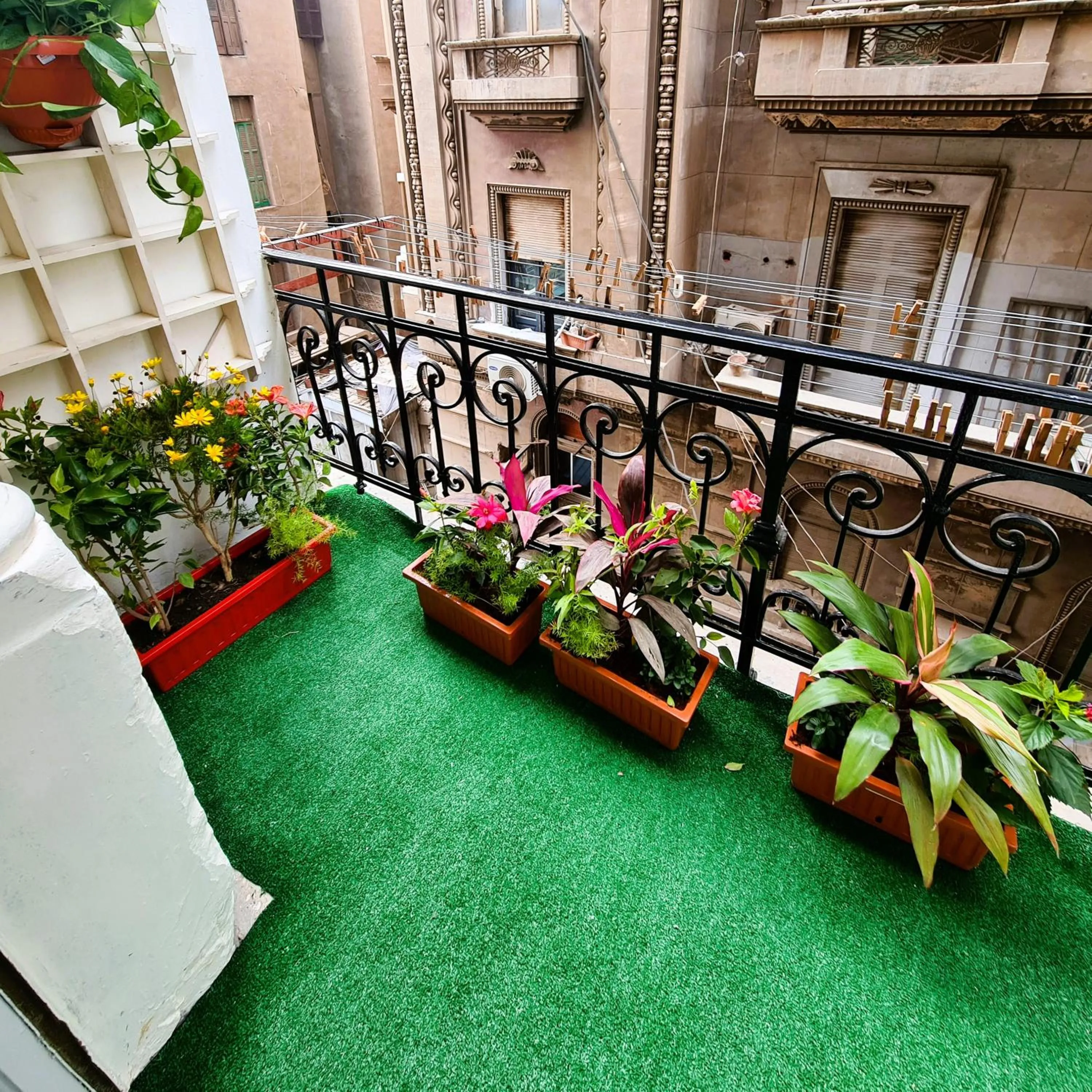 Day in The Australian Hostel