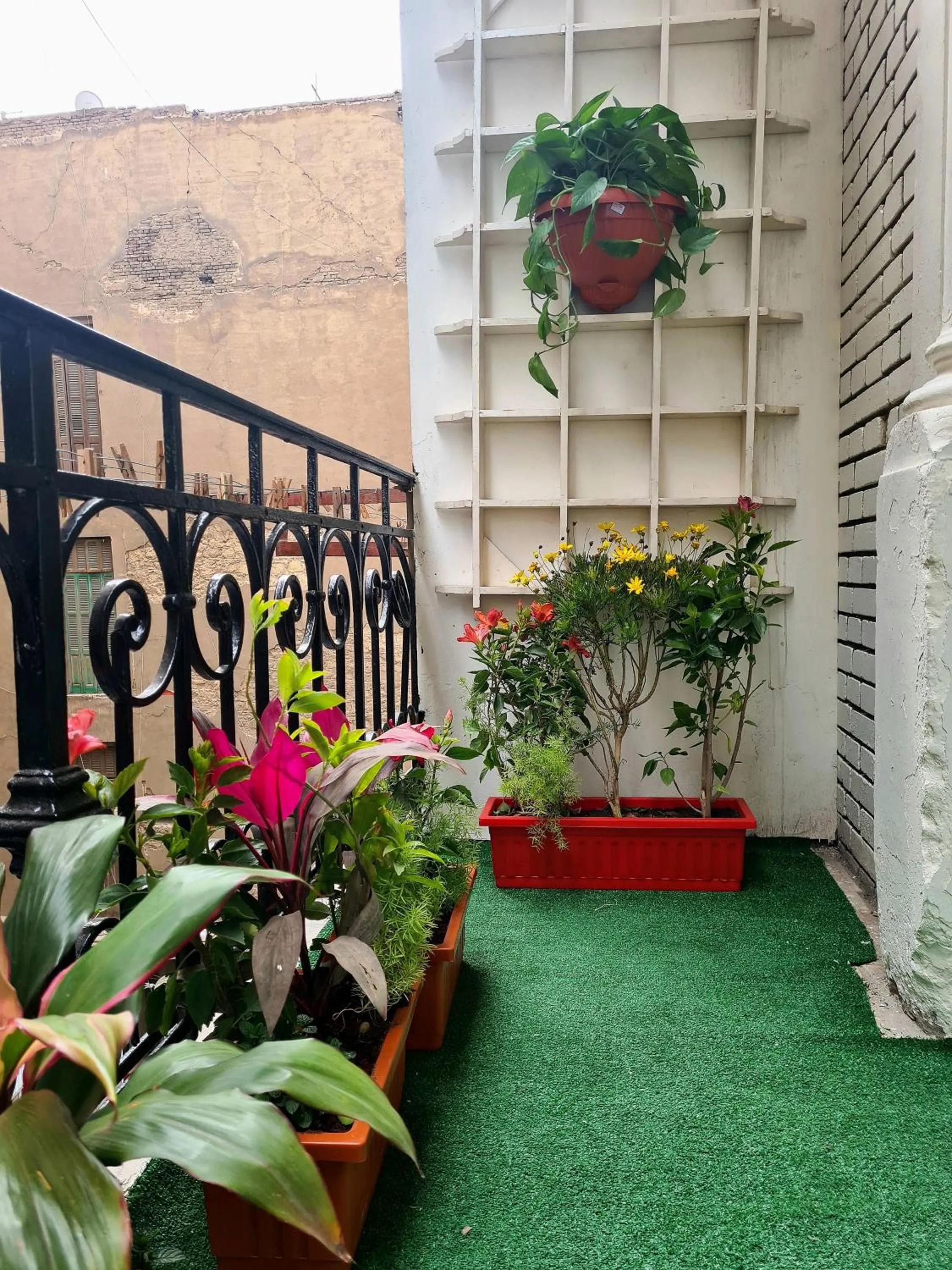 View (from property/room) in The Australian Hostel