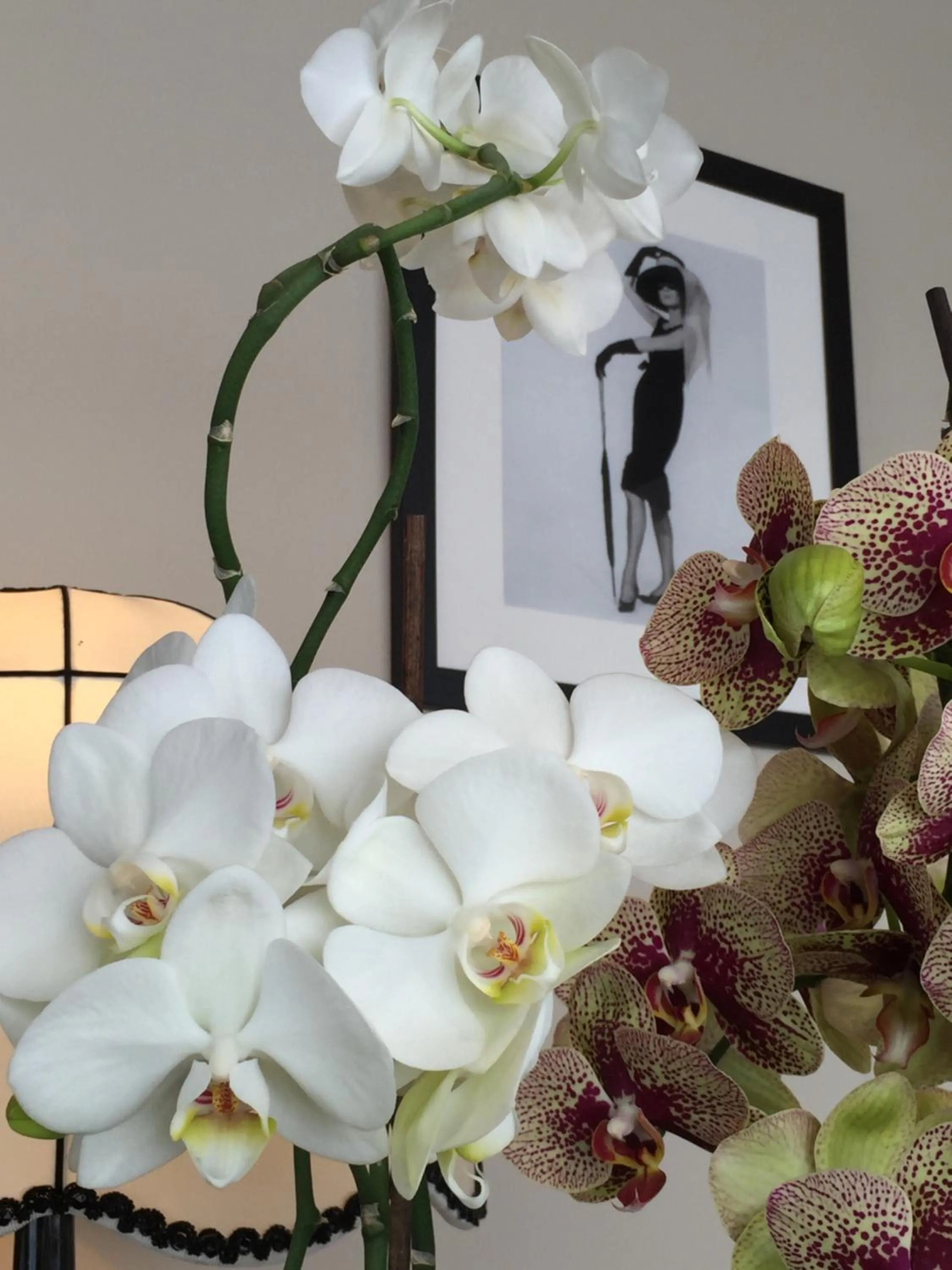 Decorative detail in Cafe-Restaurant LEO