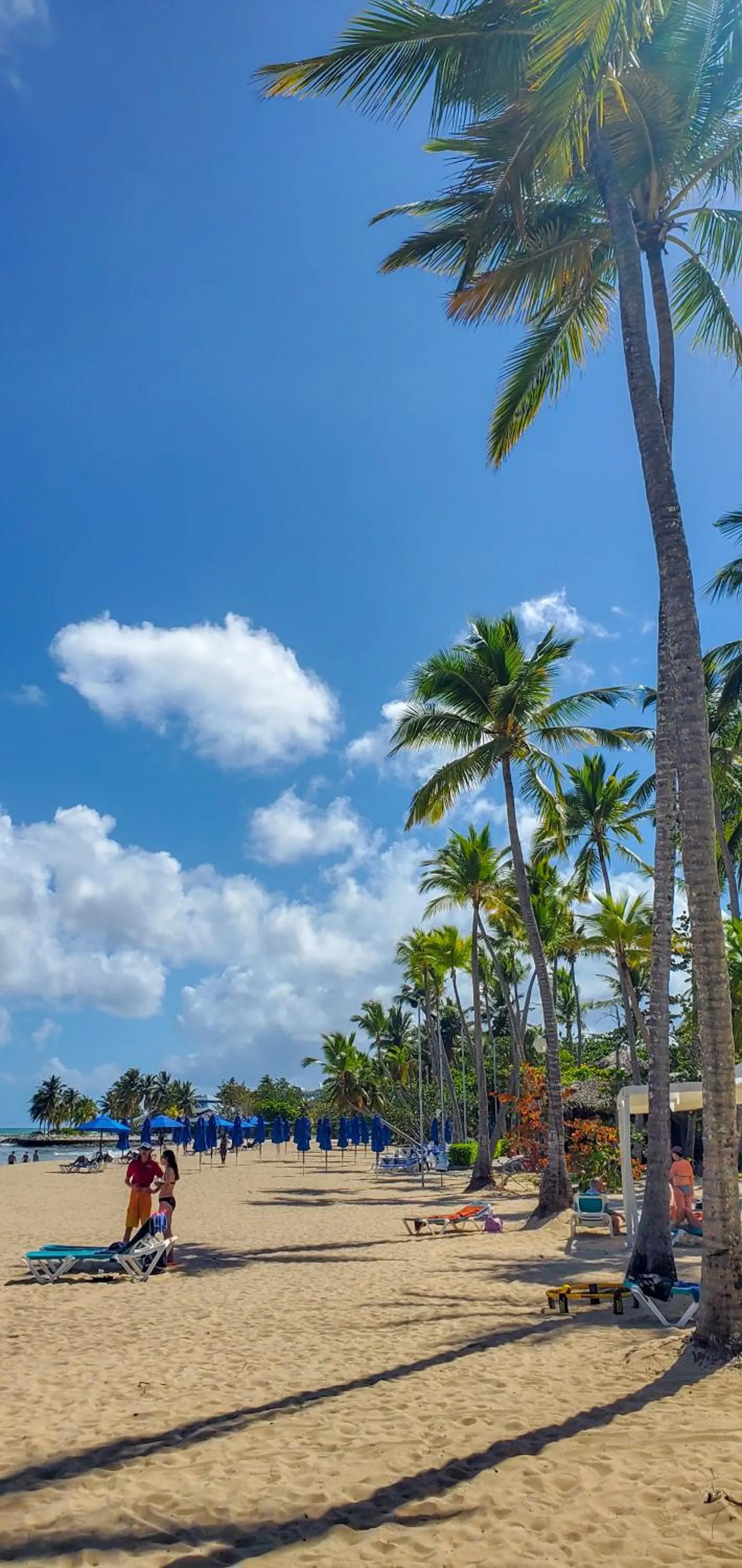 Beach in Emotions by Hodelpa Puerto Plata