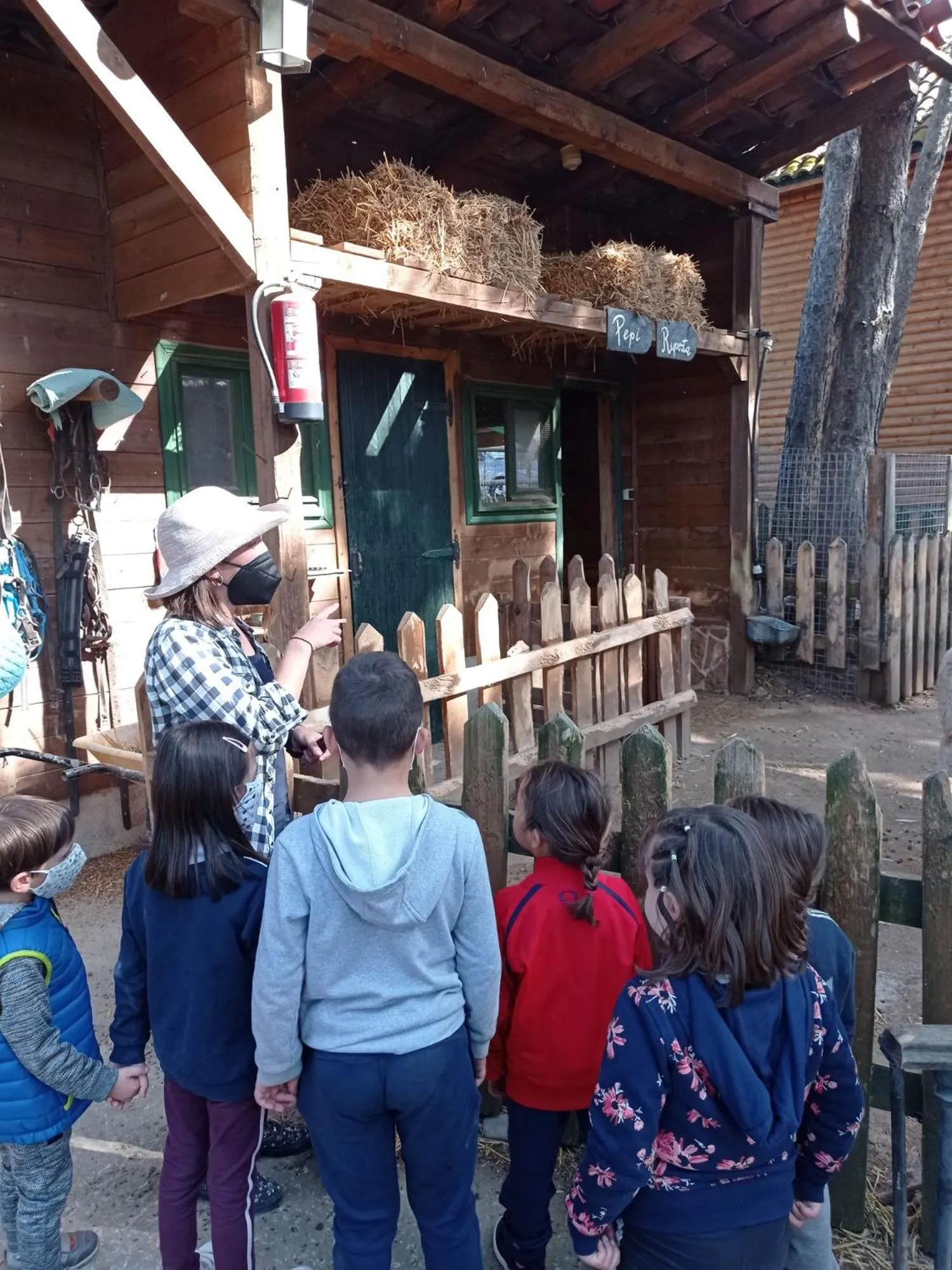Activities in Xalet De Prades