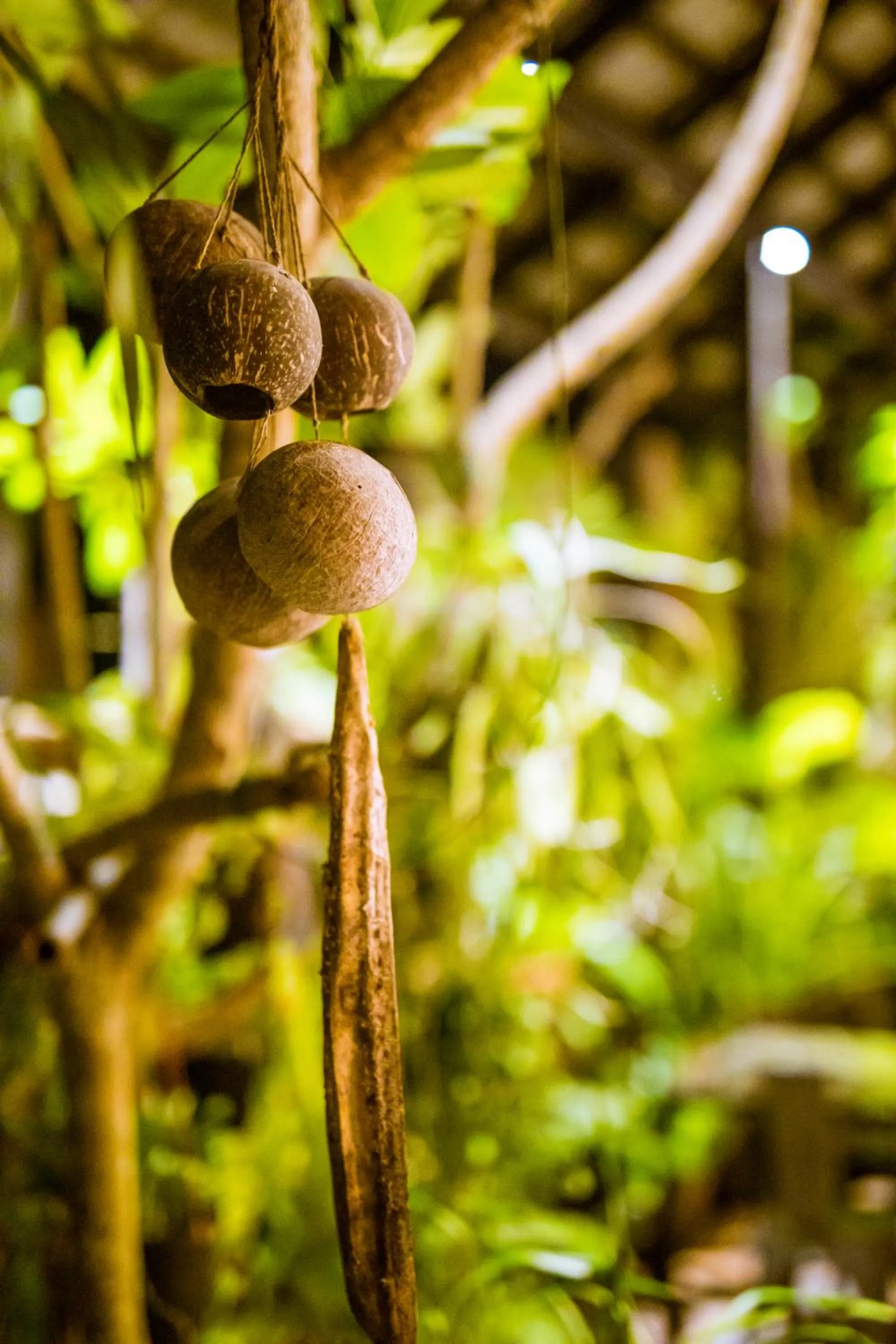 Garden in Lot 33 Boutique Hotel