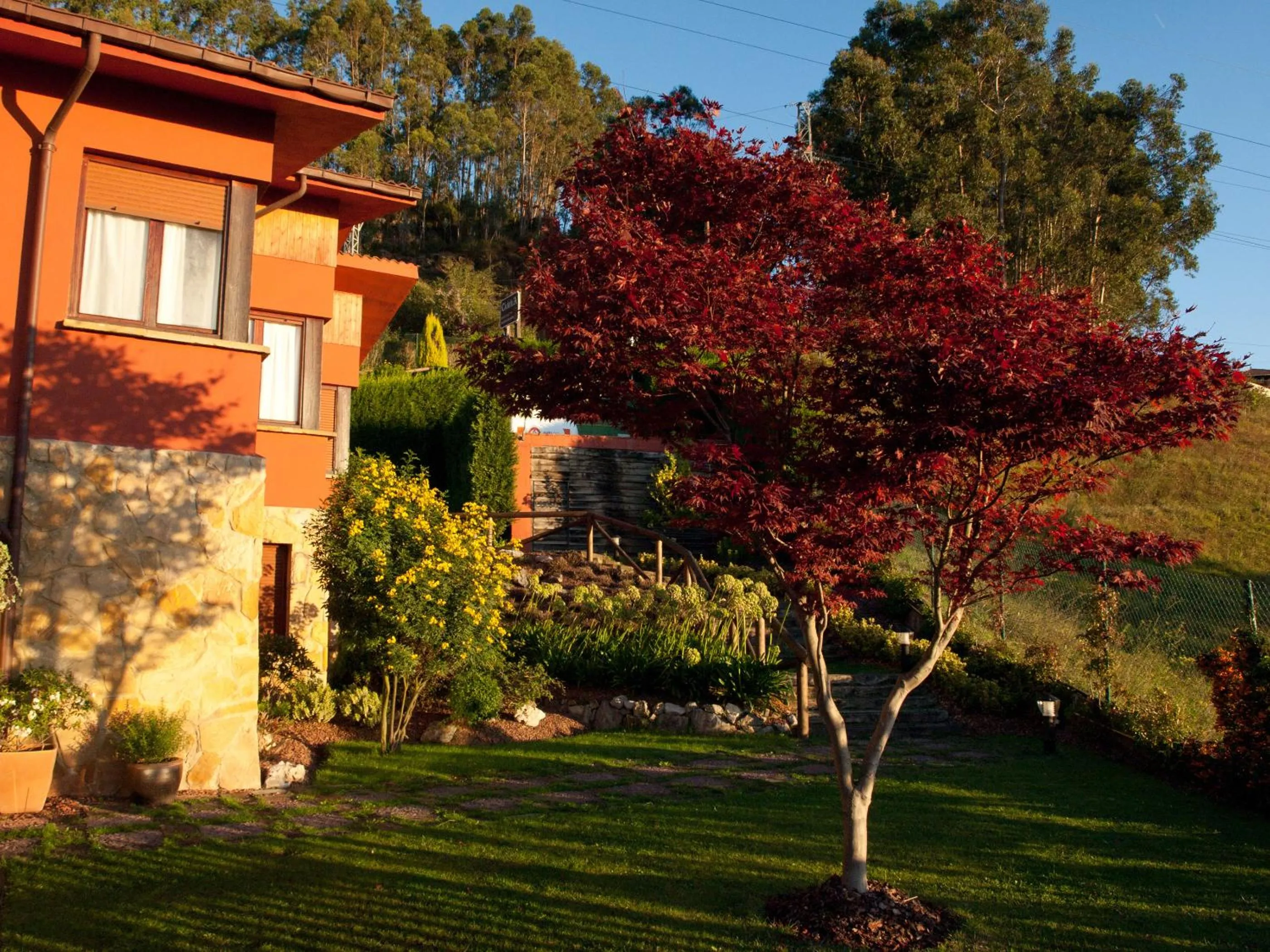 Garden in Hotel Casa Camila