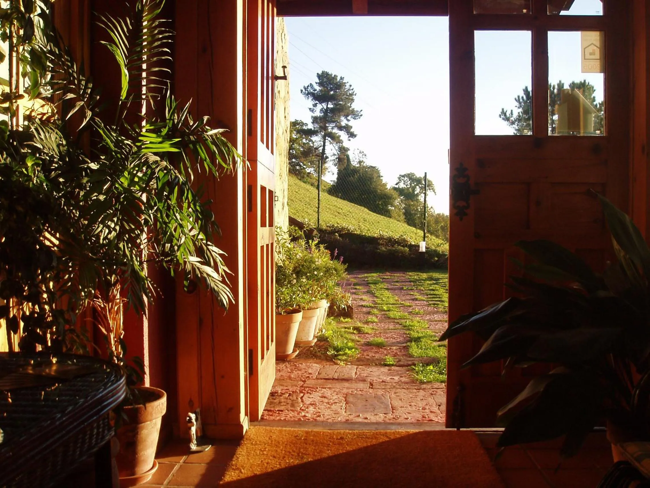 Garden in Hotel Casa Camila