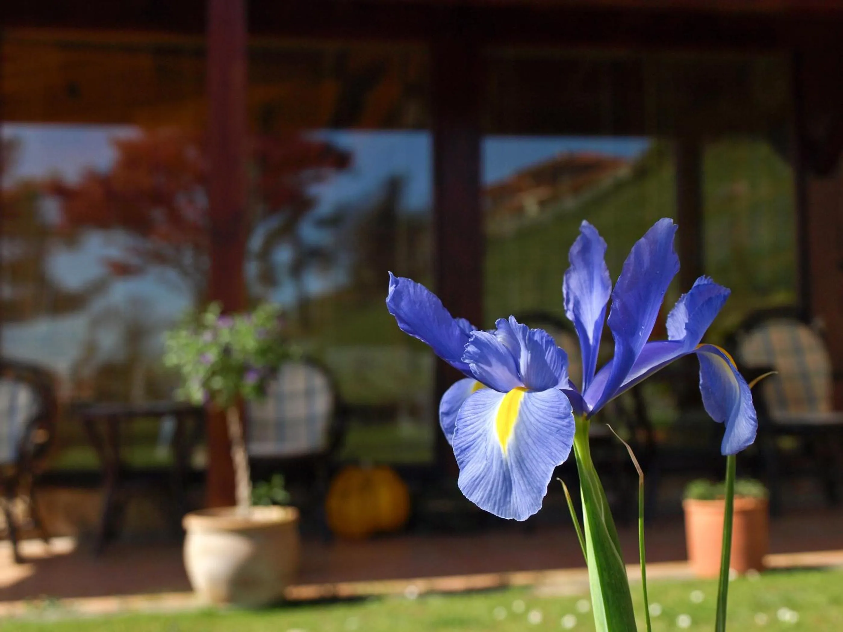Garden in Hotel Casa Camila