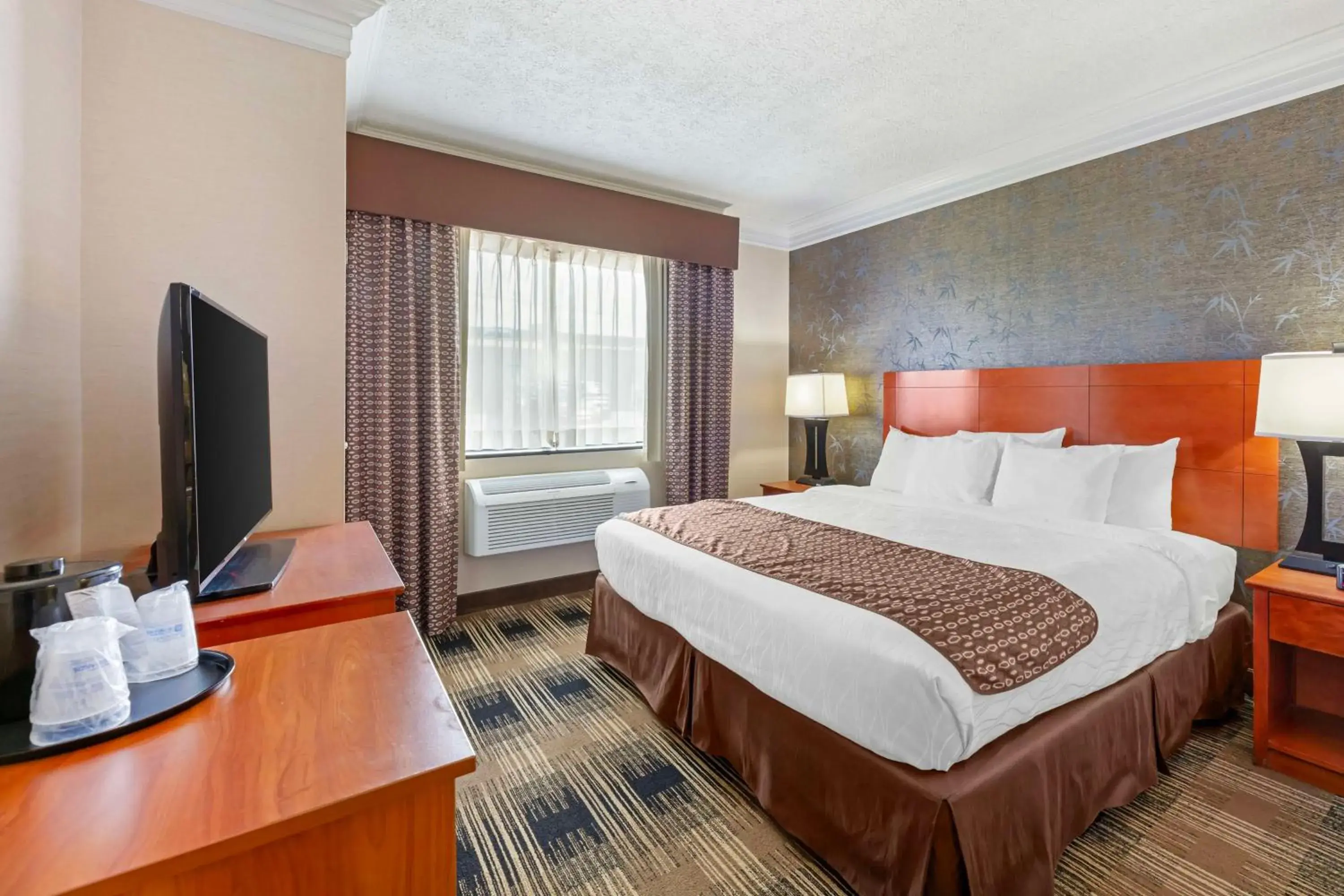 King Room with Roll-in Shower - Disability Access/Non-Smoking in Best Western Inn at the Rochester Airport King Room with Roll-in Shower - Disability Access/Non-Smoking in Best Western Inn at the Rochester Airport