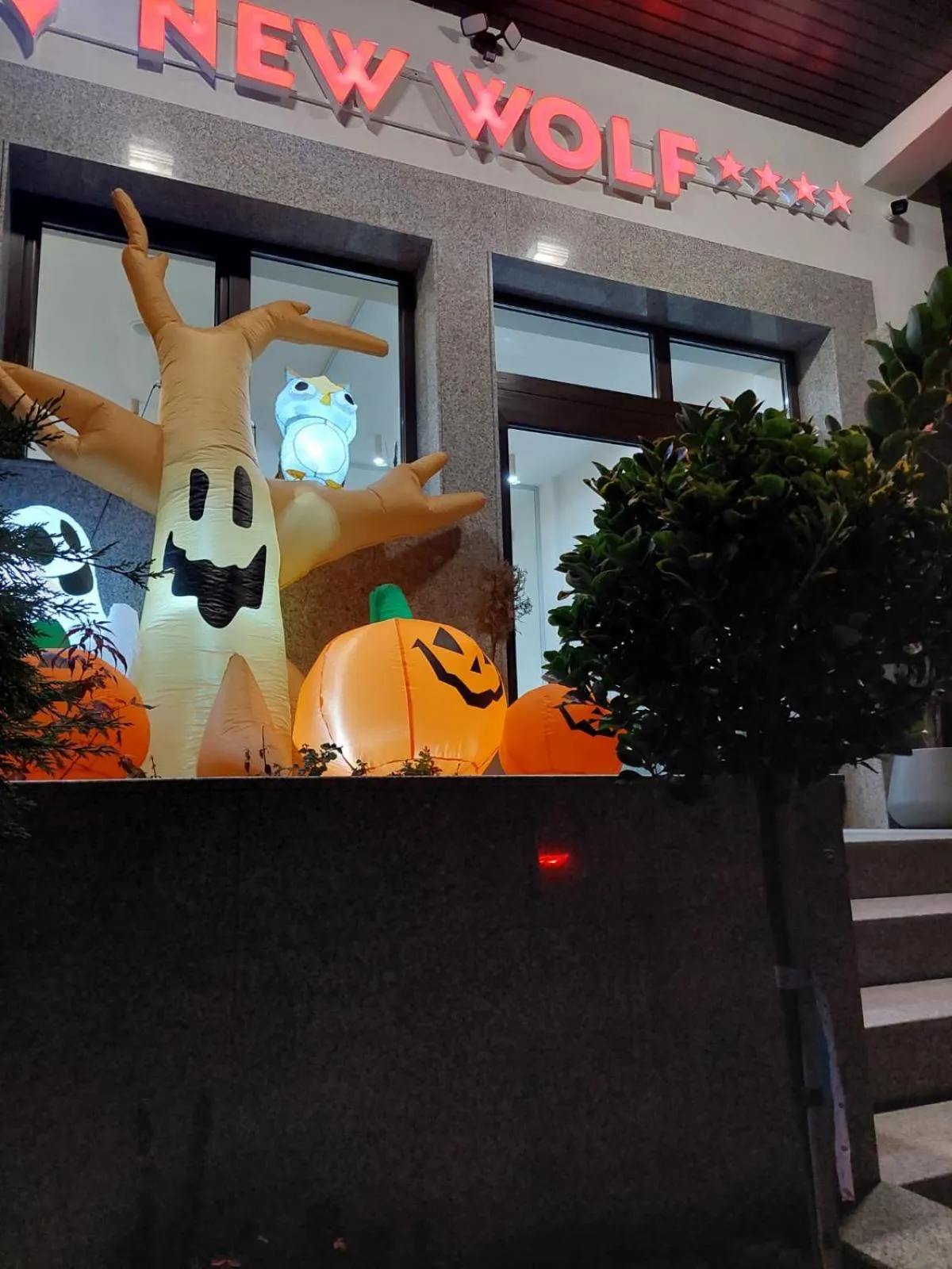 New Wolf