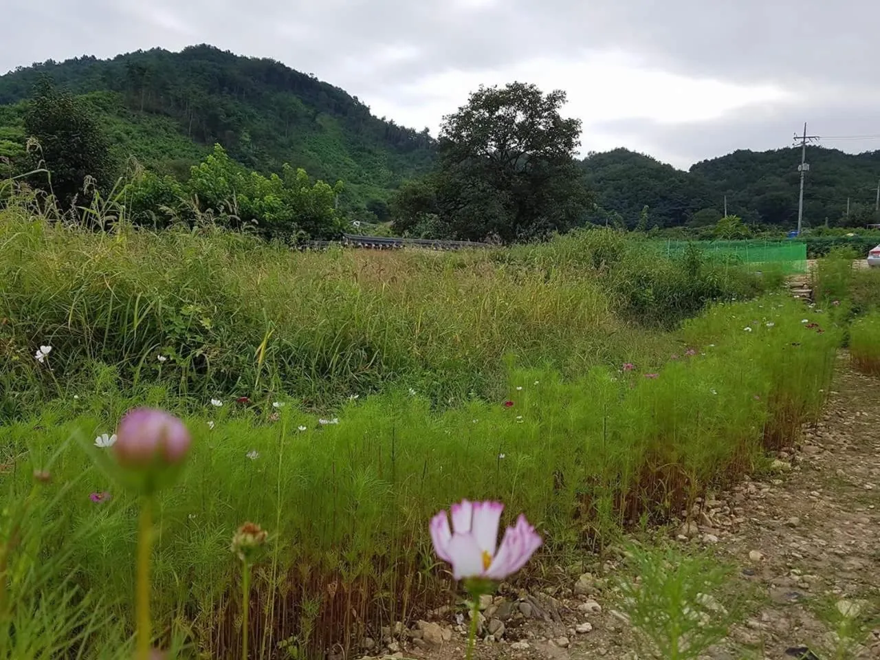 Jukheon Traditional House